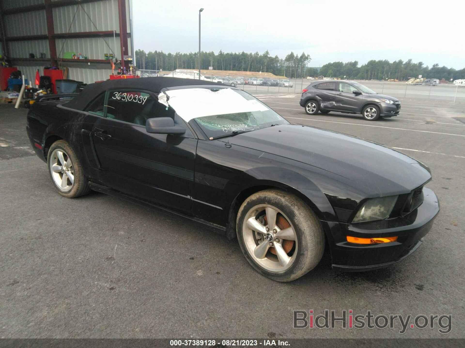 Photo 1ZVHT85H885199284 - FORD MUSTANG 2008