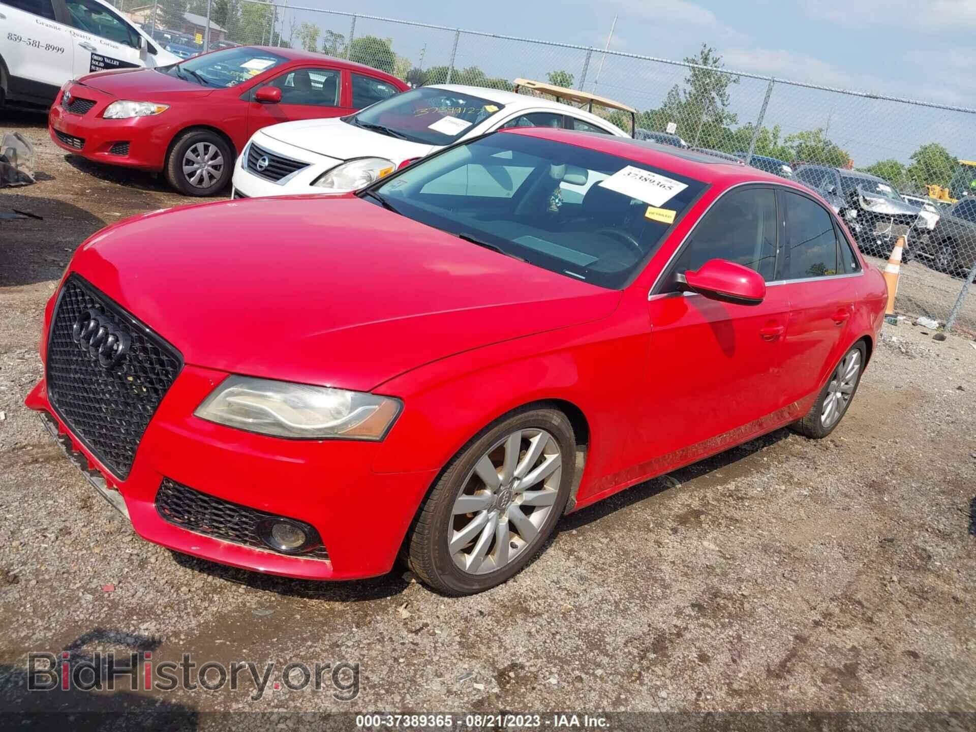 2010 AUDI A4 - VIN: WAUFFAFL3AN069492 - Фото 2