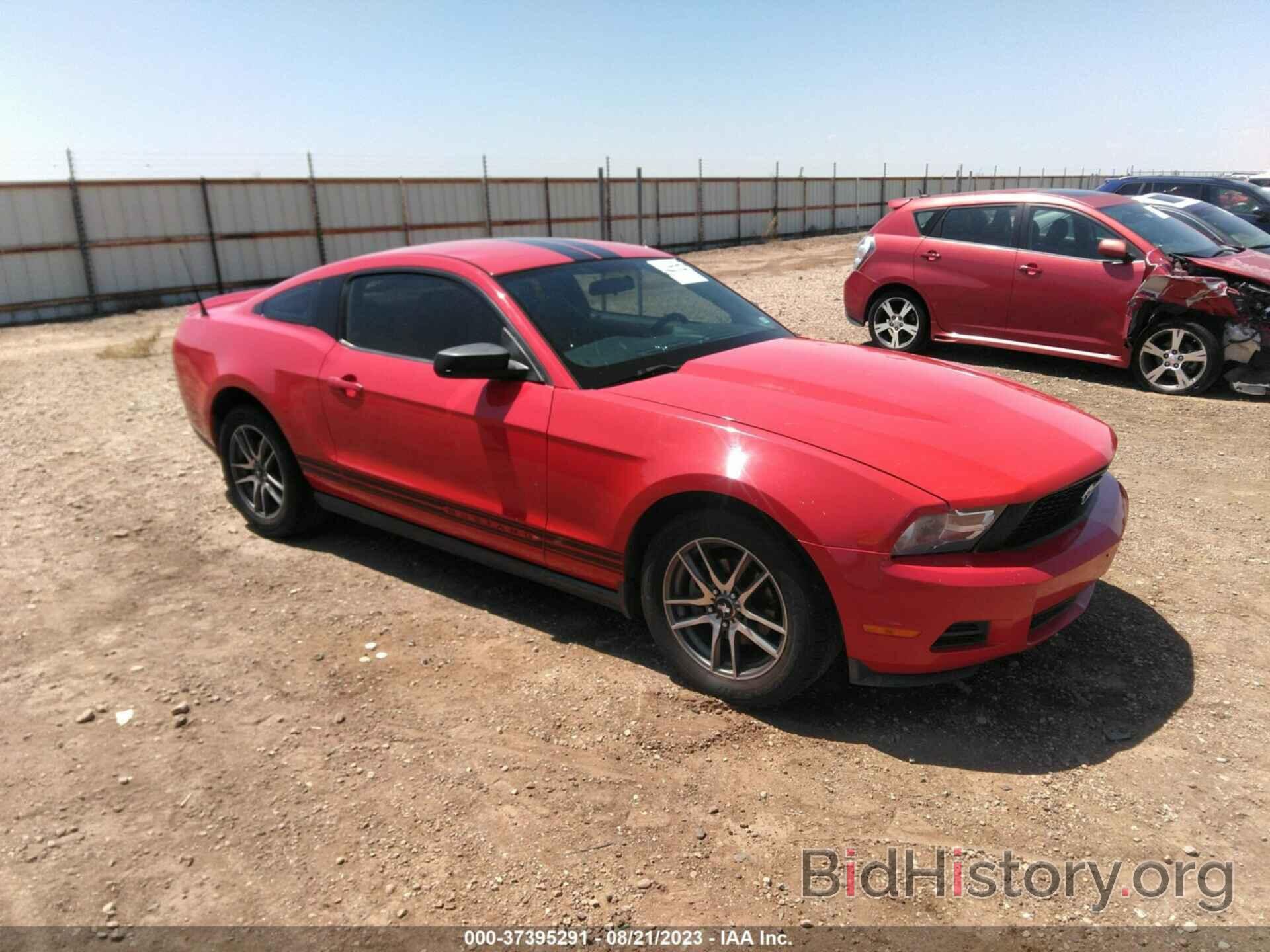 Photo 1ZVBP8AN9A5168802 - FORD MUSTANG 2010