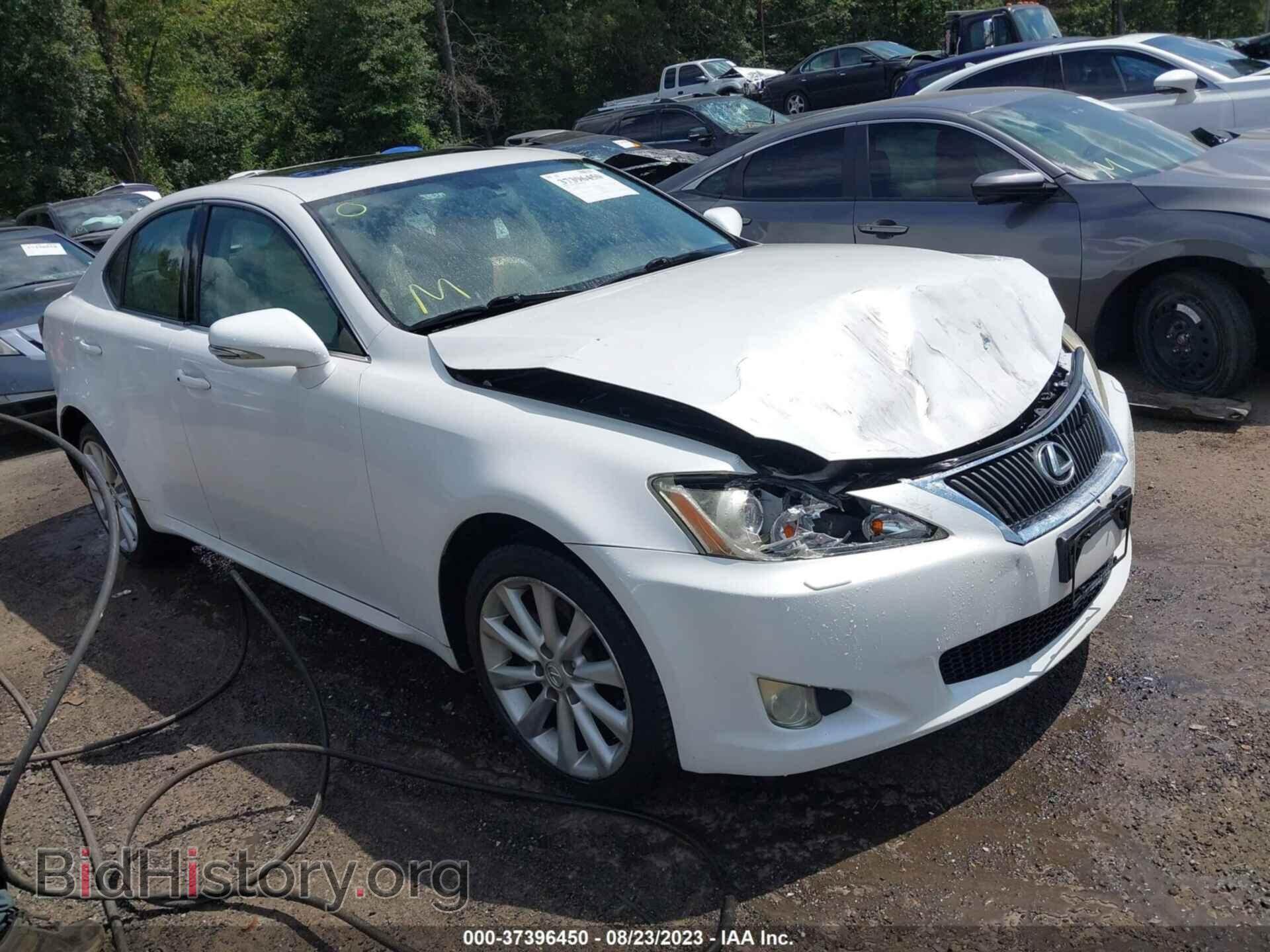 Фотография JTHCK262092031728 - LEXUS IS 250 2009
