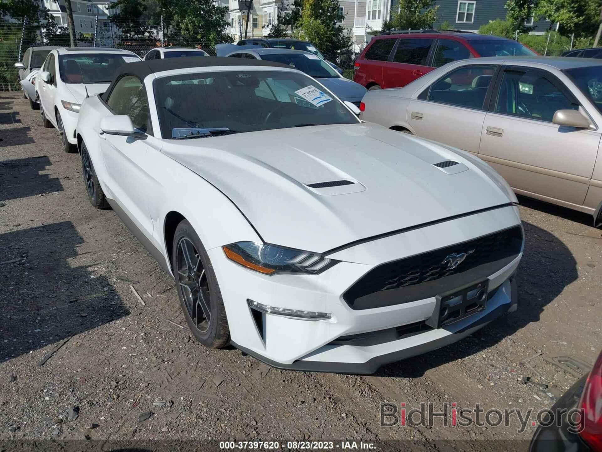 Photo 1FATP8UH8P5105587 - FORD MUSTANG 2023