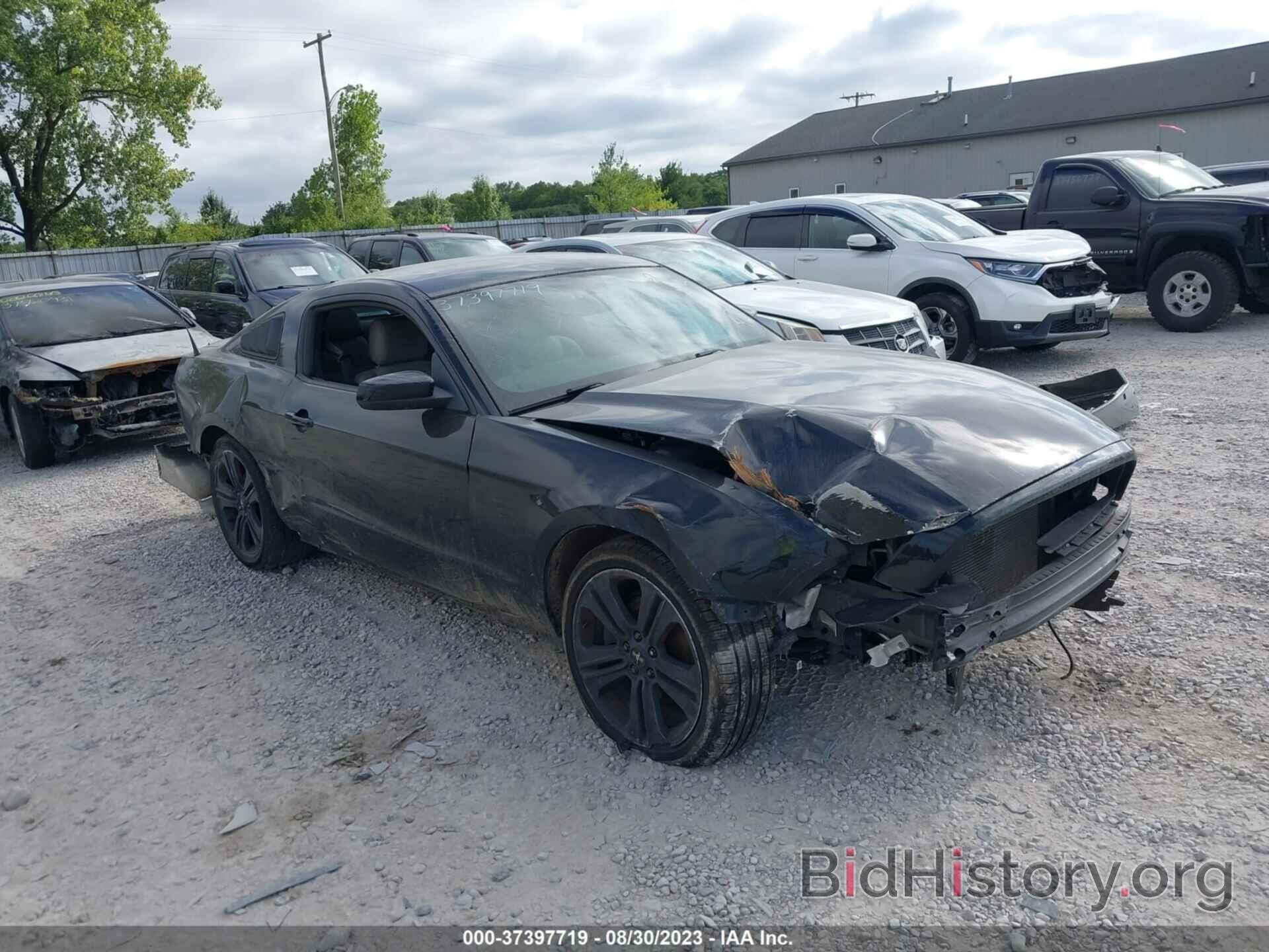 Photo 1ZVBP8AMXE5283681 - FORD MUSTANG 2014