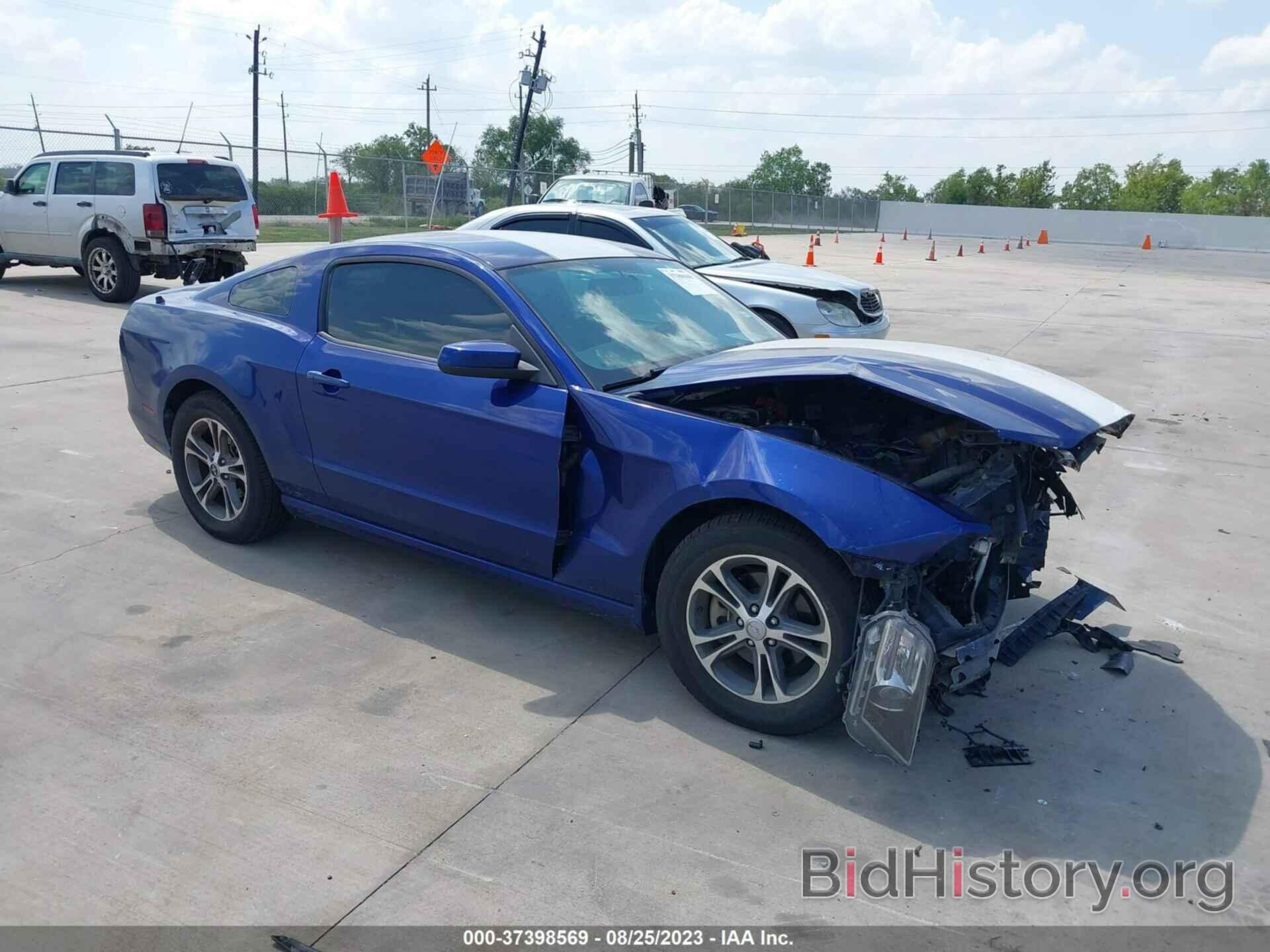 Photo 1ZVBP8AM6E5221677 - FORD MUSTANG 2014