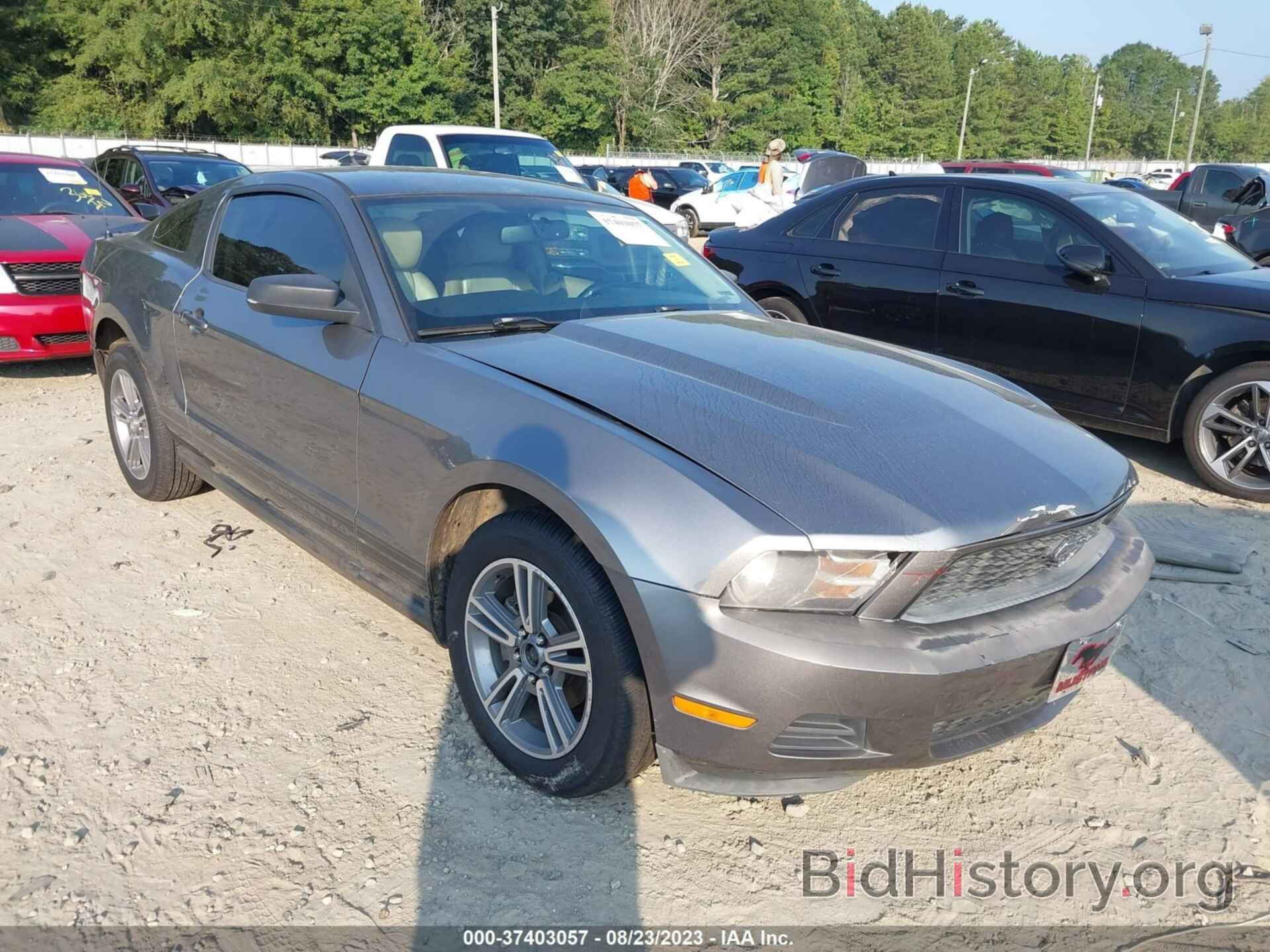 Photo 1ZVBP8AN0A5173659 - FORD MUSTANG 2010