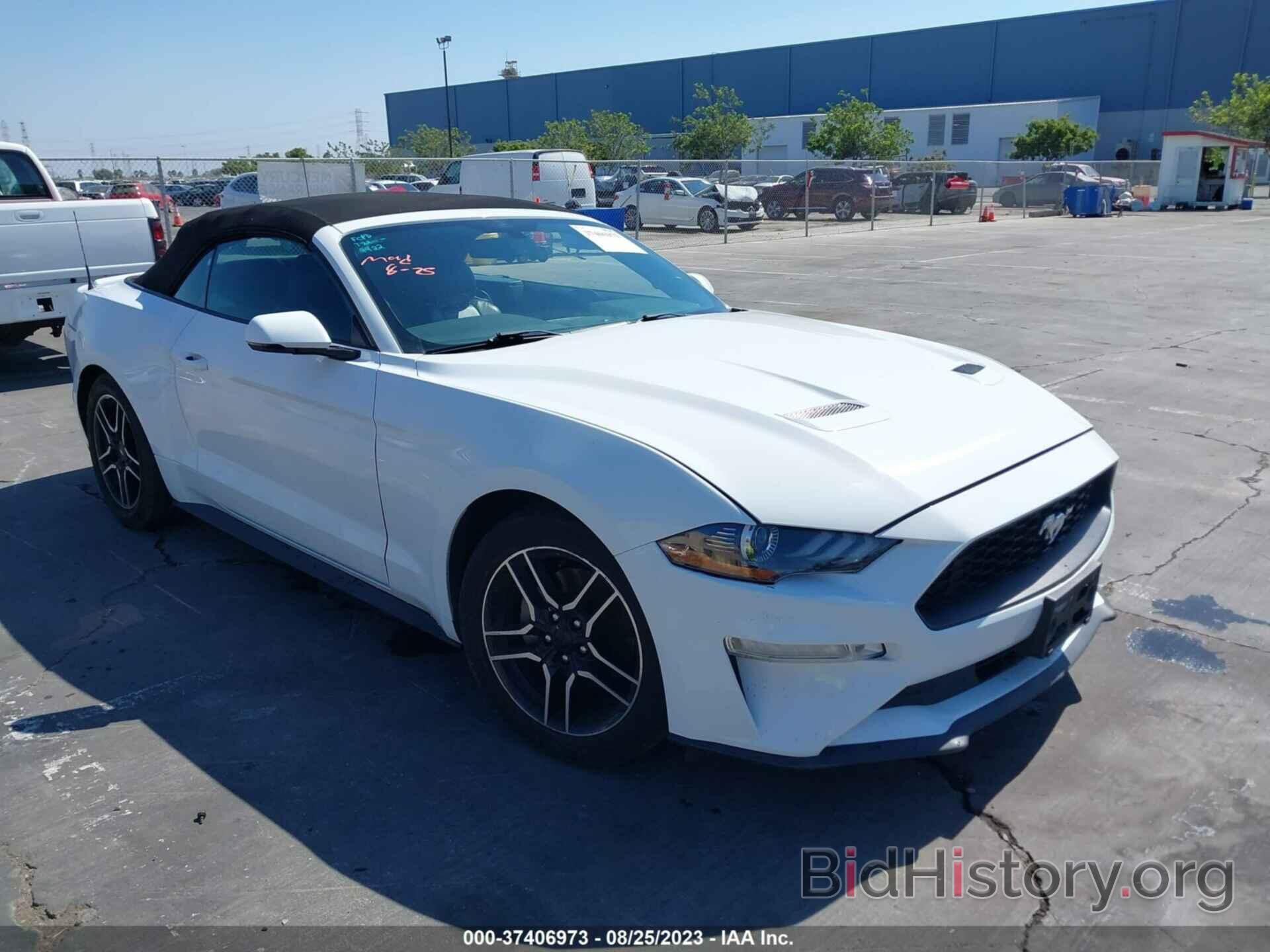 Photo 1FATP8UH8L5146991 - FORD MUSTANG 2020