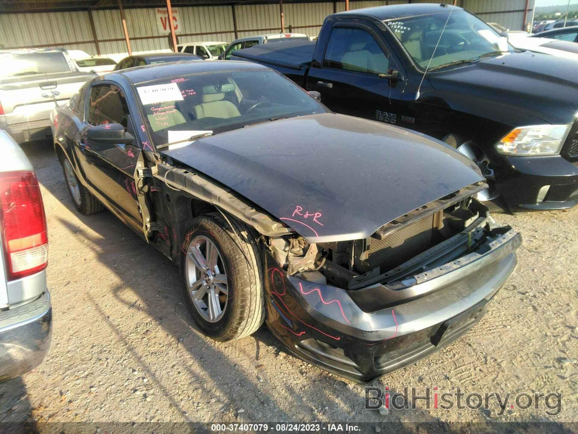 Photo 1ZVBP8AM3E5332042 - FORD MUSTANG 2014