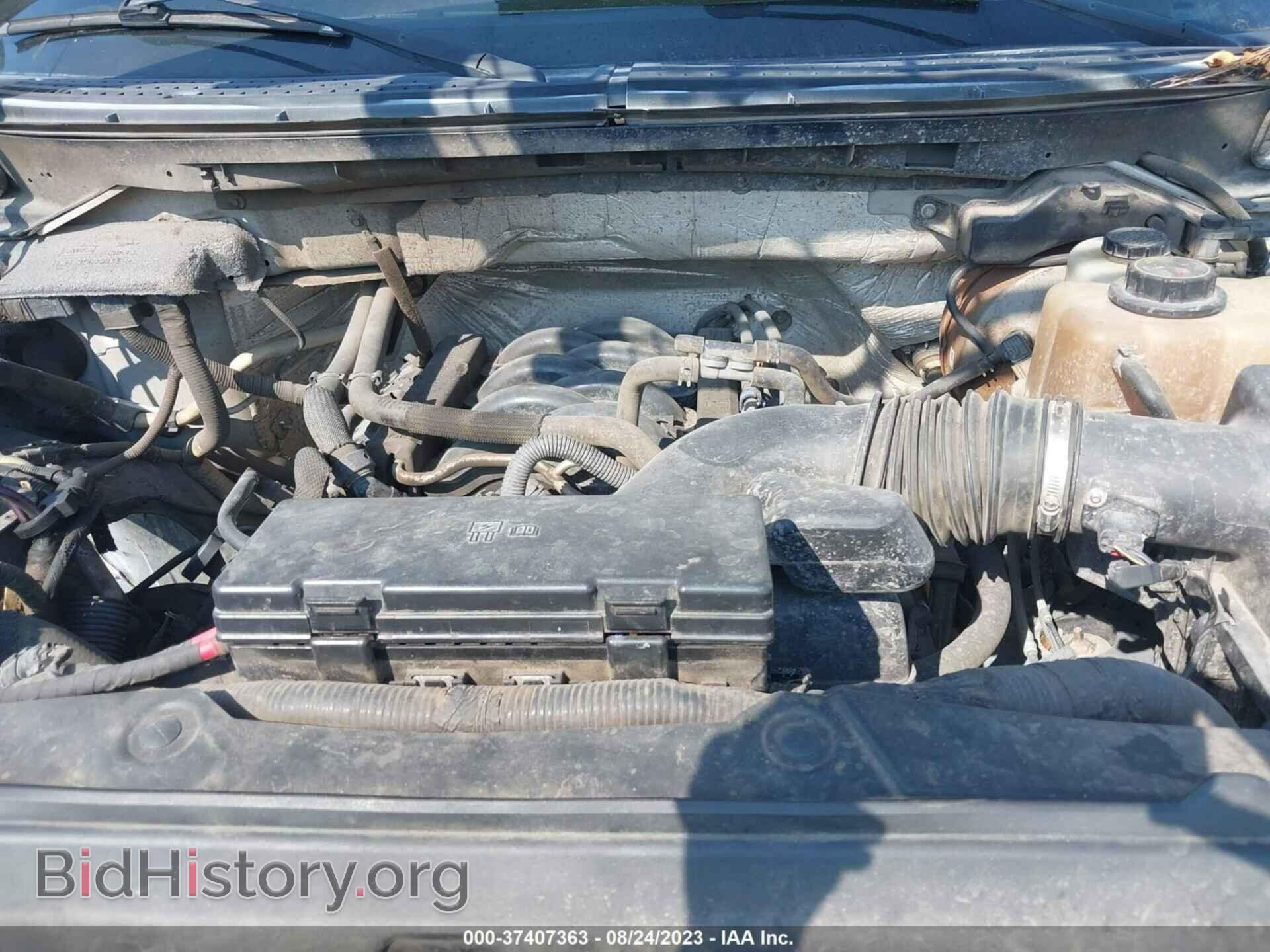 2011 FORD F-150 - VIN: 1FTFW1EF5BFD29126 - Фото 10