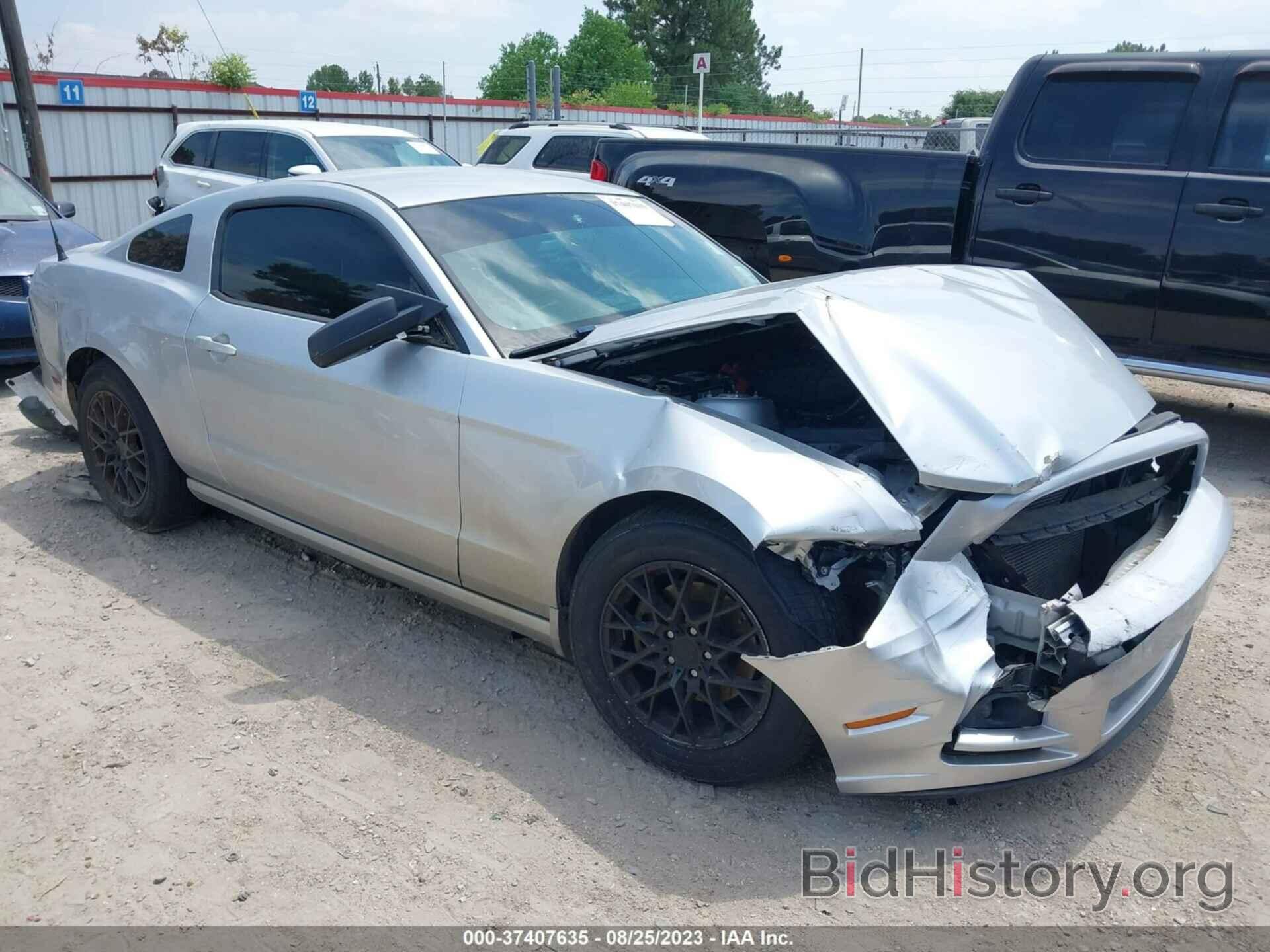Photo 1ZVBP8AM2D5259034 - FORD MUSTANG 2013