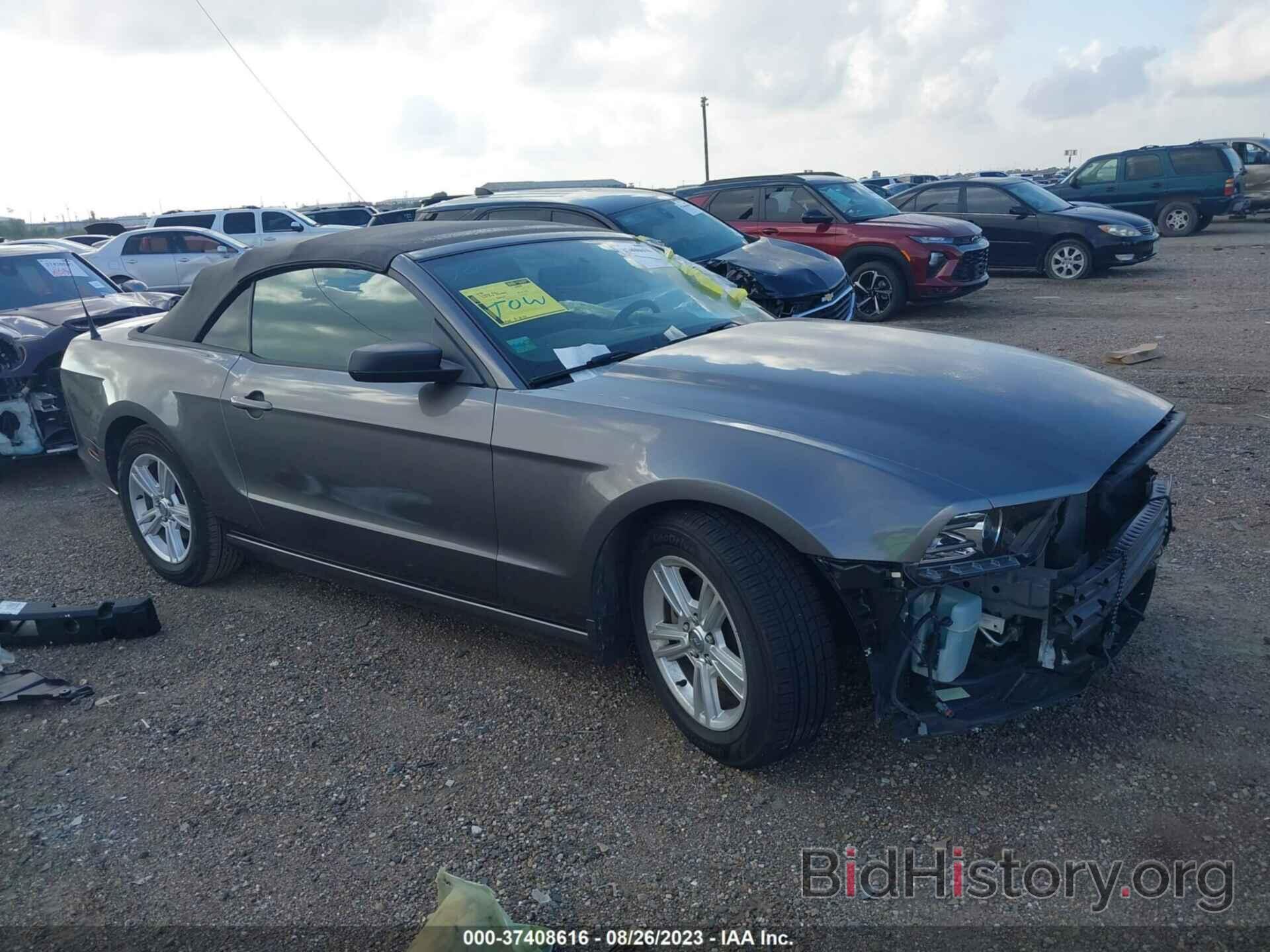 Photo 1ZVBP8EM3E5316806 - FORD MUSTANG 2014