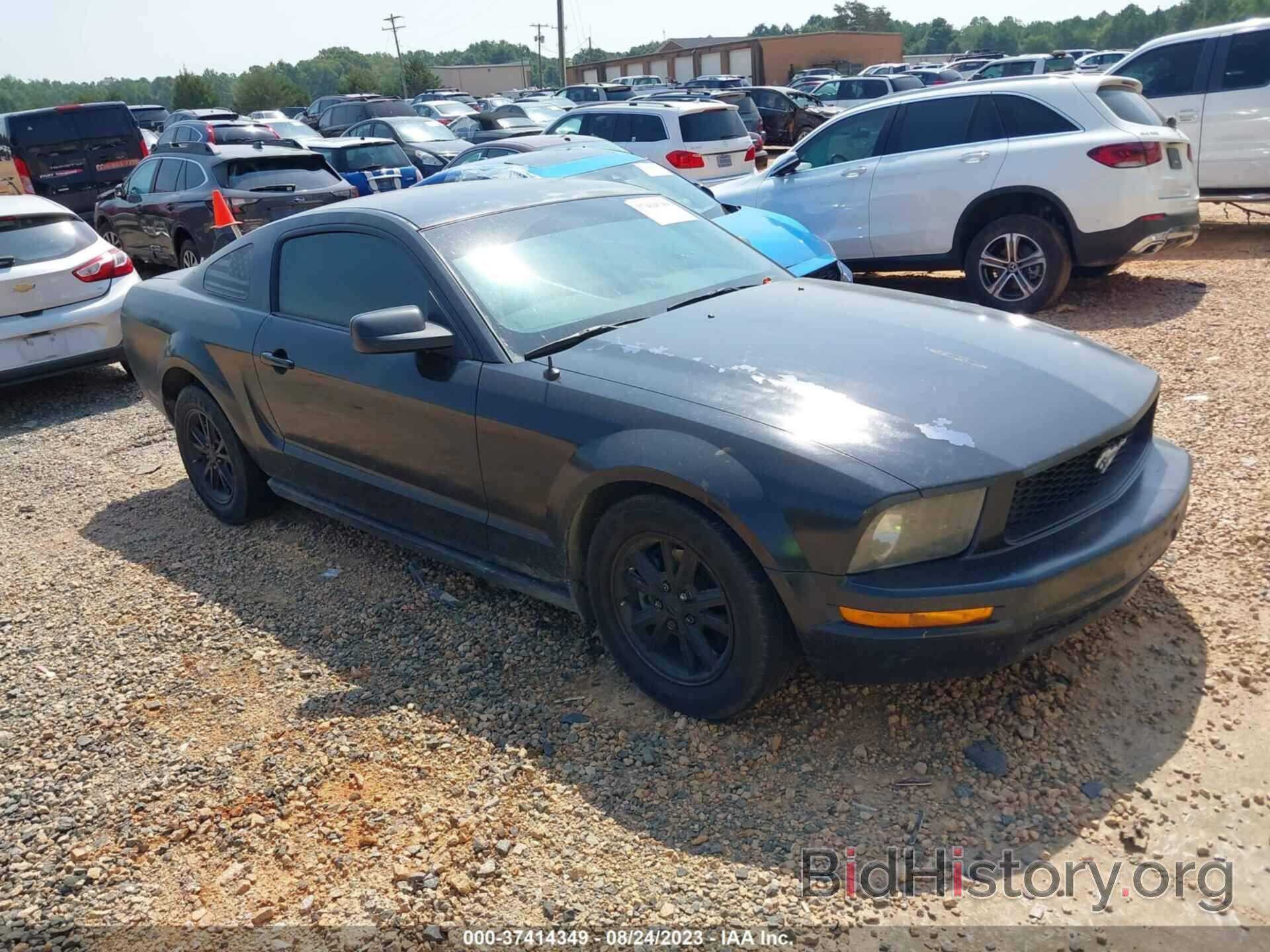 Photo 1ZVHT80N385102277 - FORD MUSTANG 2008