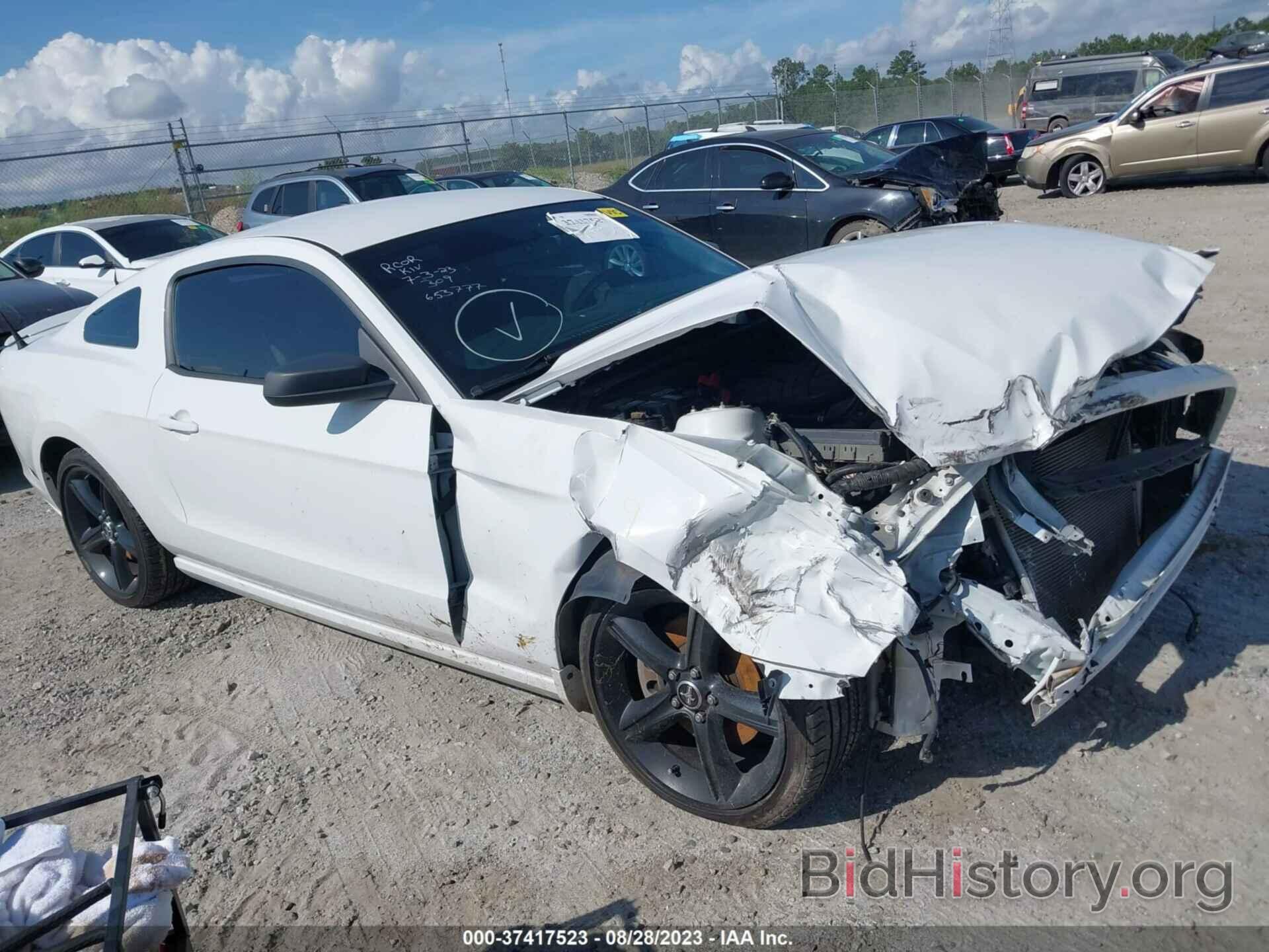 Photo 1ZVBP8AM8E5334174 - FORD MUSTANG 2014