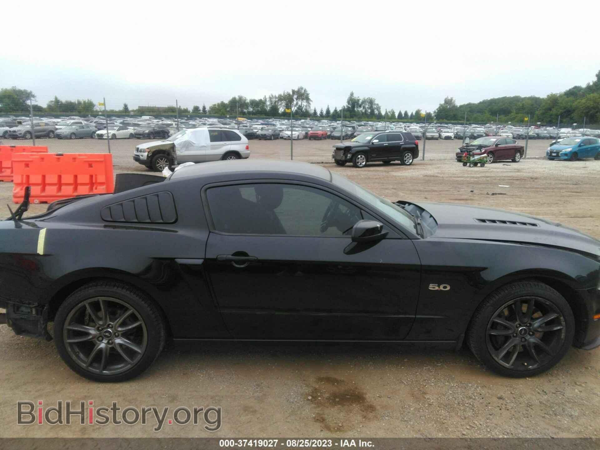 2013 FORD MUSTANG - VIN: 1ZVBP8CF2D5246248 - Фото 13