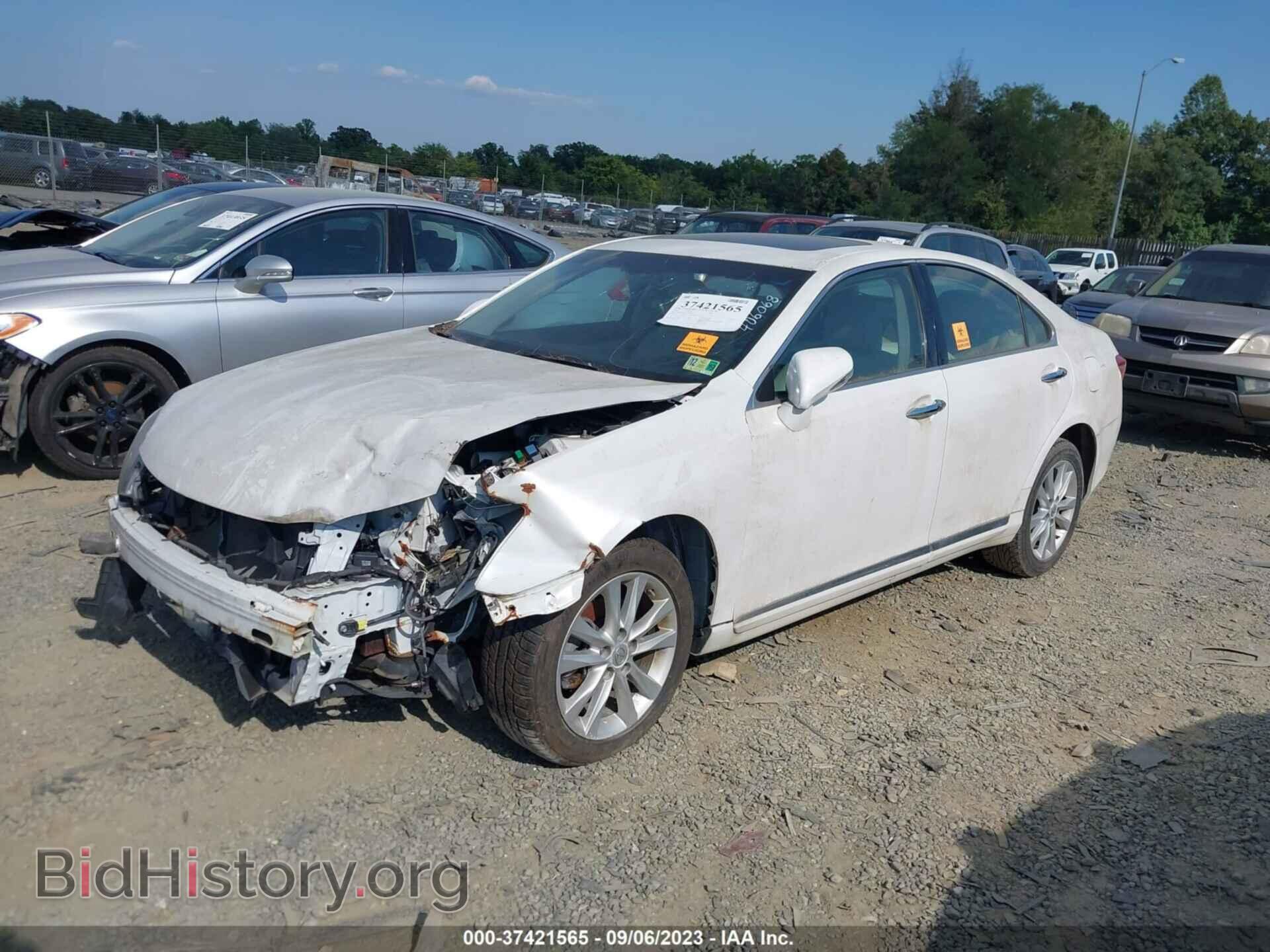 2010 LEXUS ES 350 - VIN: JTHBK1EG9A2406068 - Фото 2