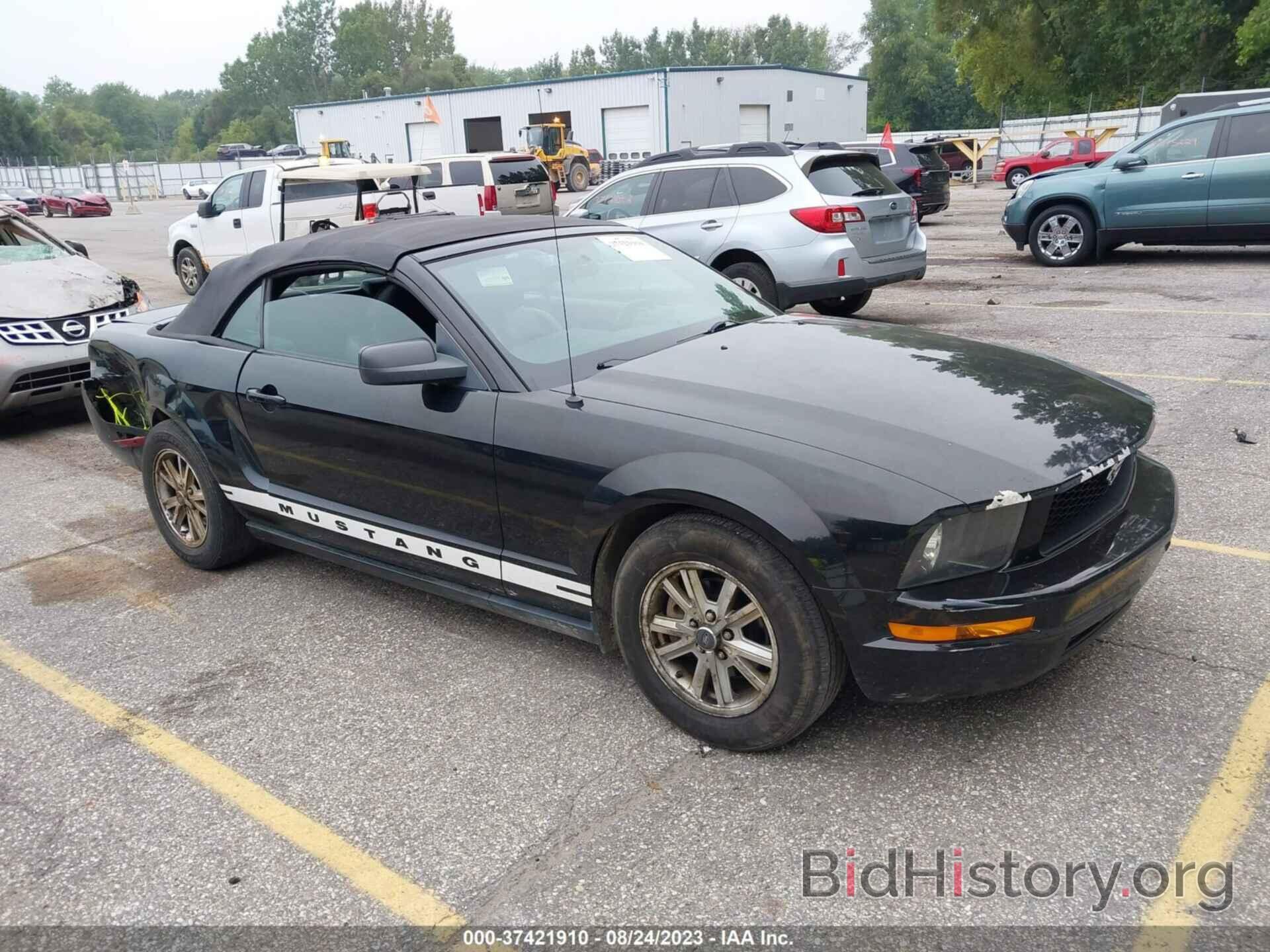 Photo 1ZVHT84N865116151 - FORD MUSTANG 2006