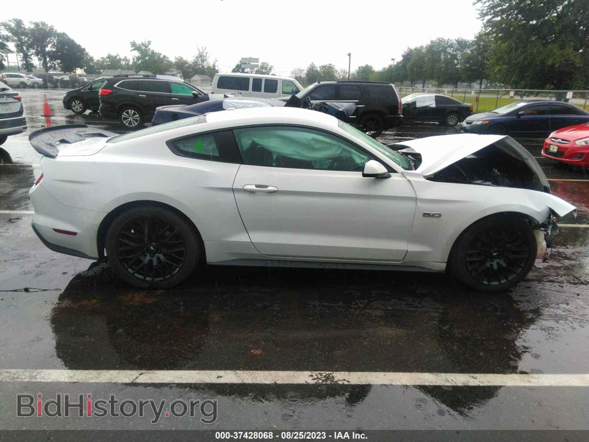 2019 FORD MUSTANG - VIN: 1FA6P8CF8K5195281 - Фото 13