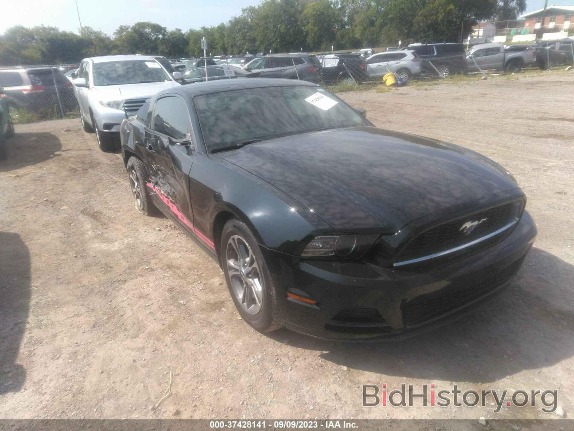 Photo 1ZVBP8AM7E5286831 - FORD MUSTANG 2014