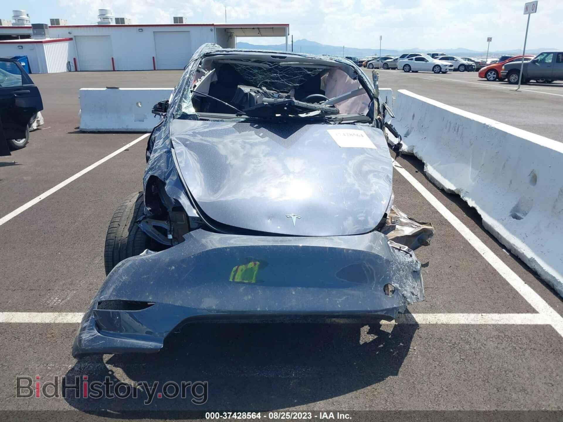 2023 TESLA MODEL Y - VIN: 7SAYGDEE1PF839437 - Фото 10