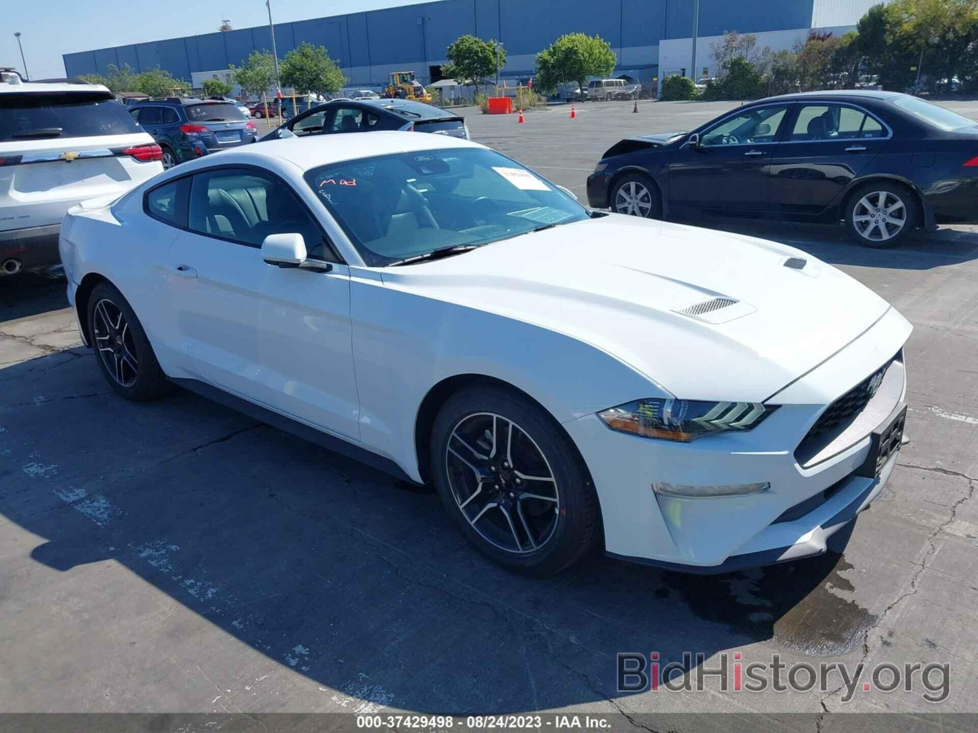 Photo 1FA6P8TH6P5105473 - FORD MUSTANG 2023