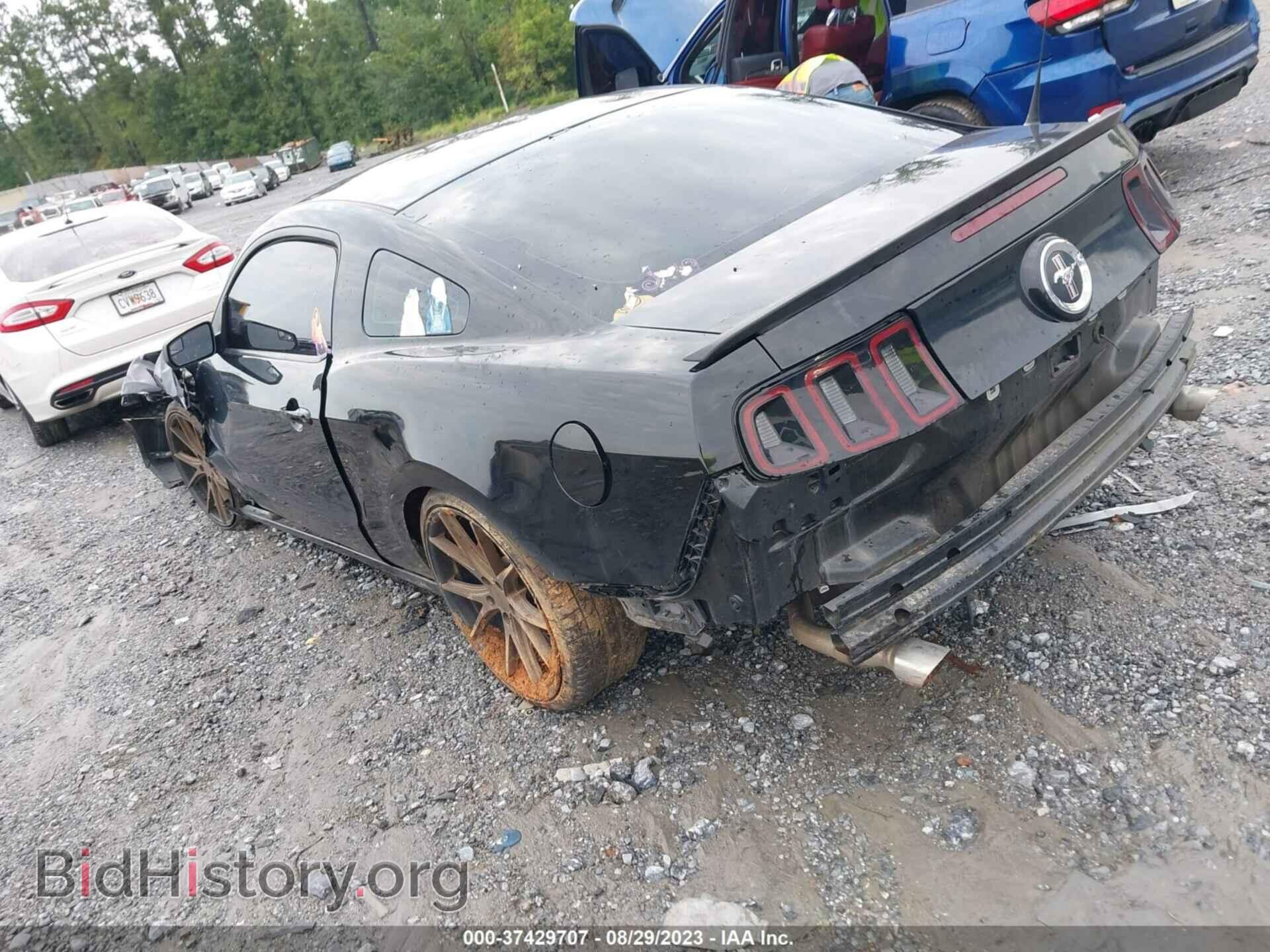 2013 FORD MUSTANG - VIN: 1ZVBP8AM9D5281516 - Photo 3