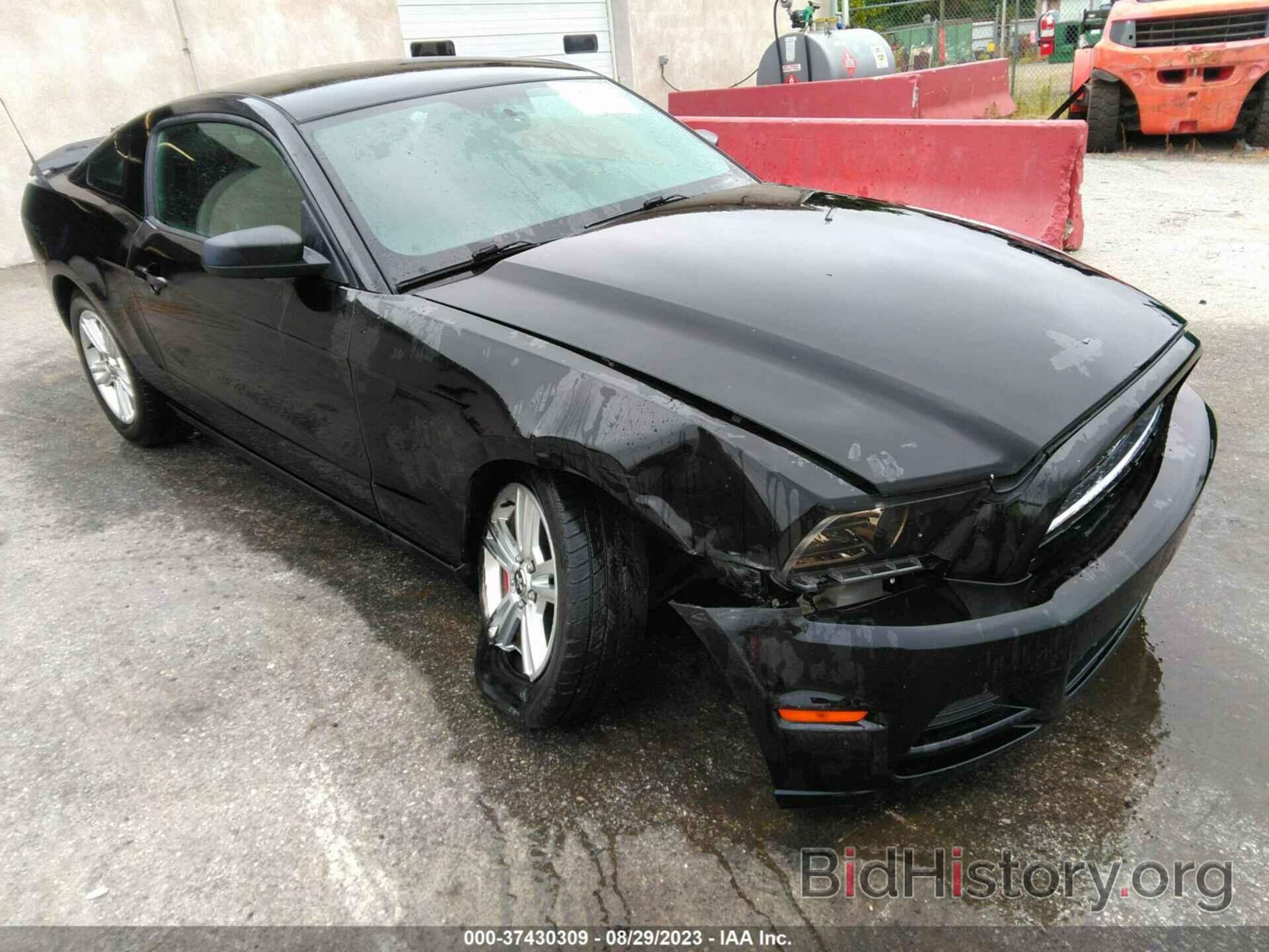 Photo 1ZVBP8AM4E5226070 - FORD MUSTANG 2014