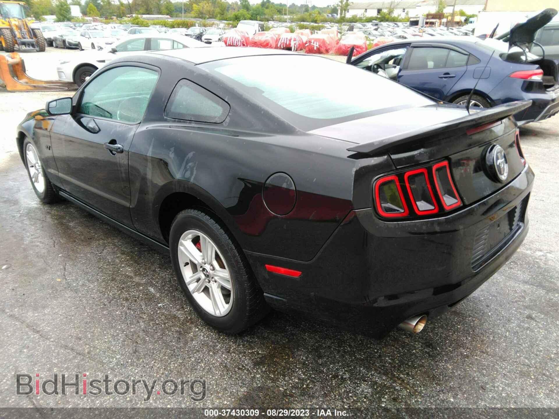 2014 FORD MUSTANG - VIN: 1ZVBP8AM4E5226070 - Фото 3