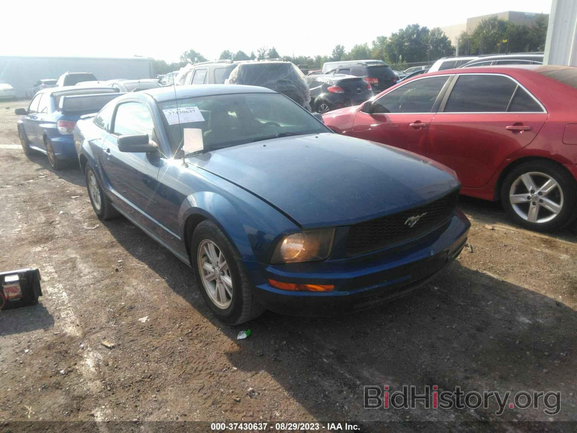 Photo 1ZVHT80N685168774 - FORD MUSTANG 2008