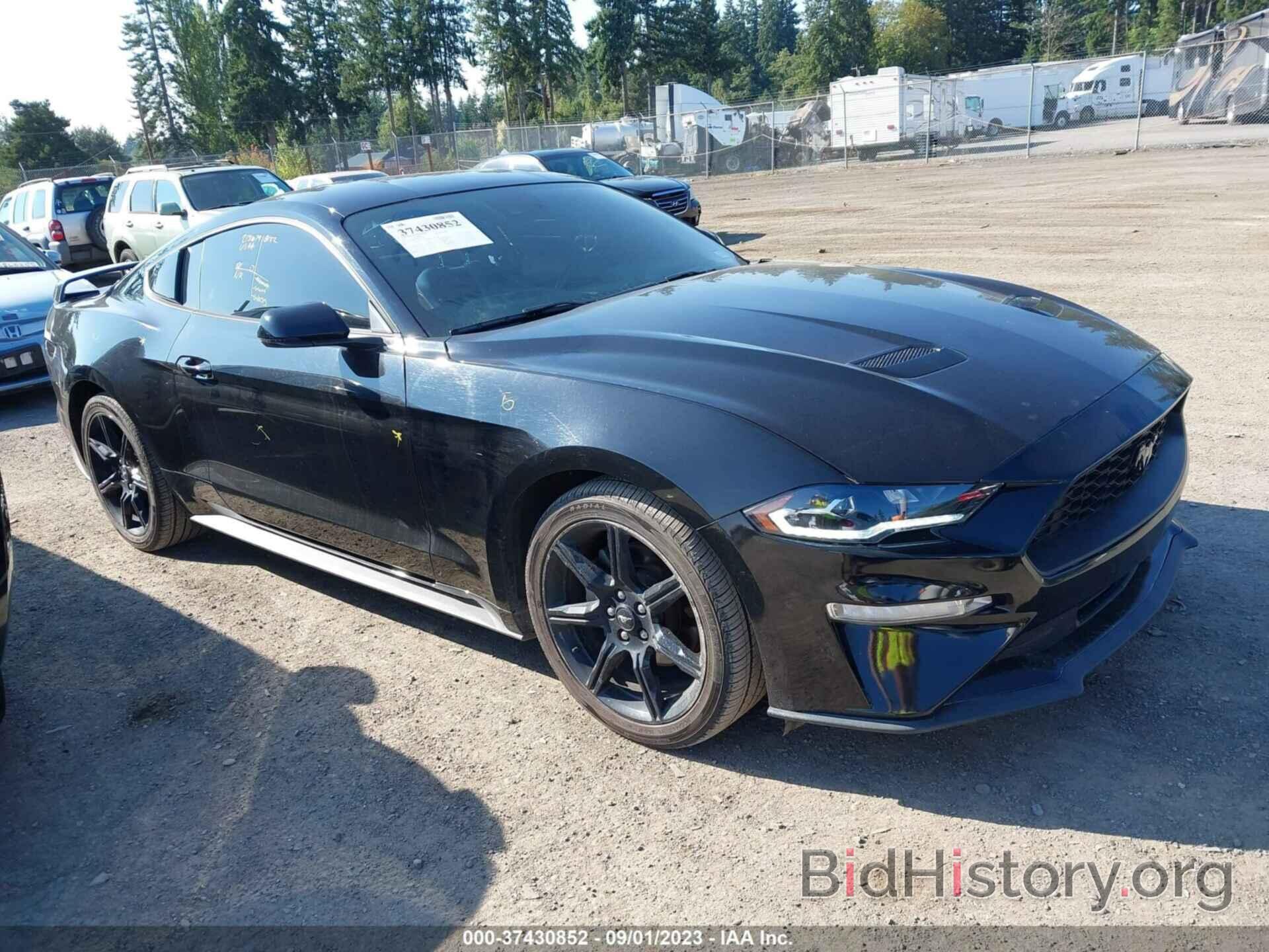 Photo 1FA6P8TH0K5125260 - FORD MUSTANG 2019