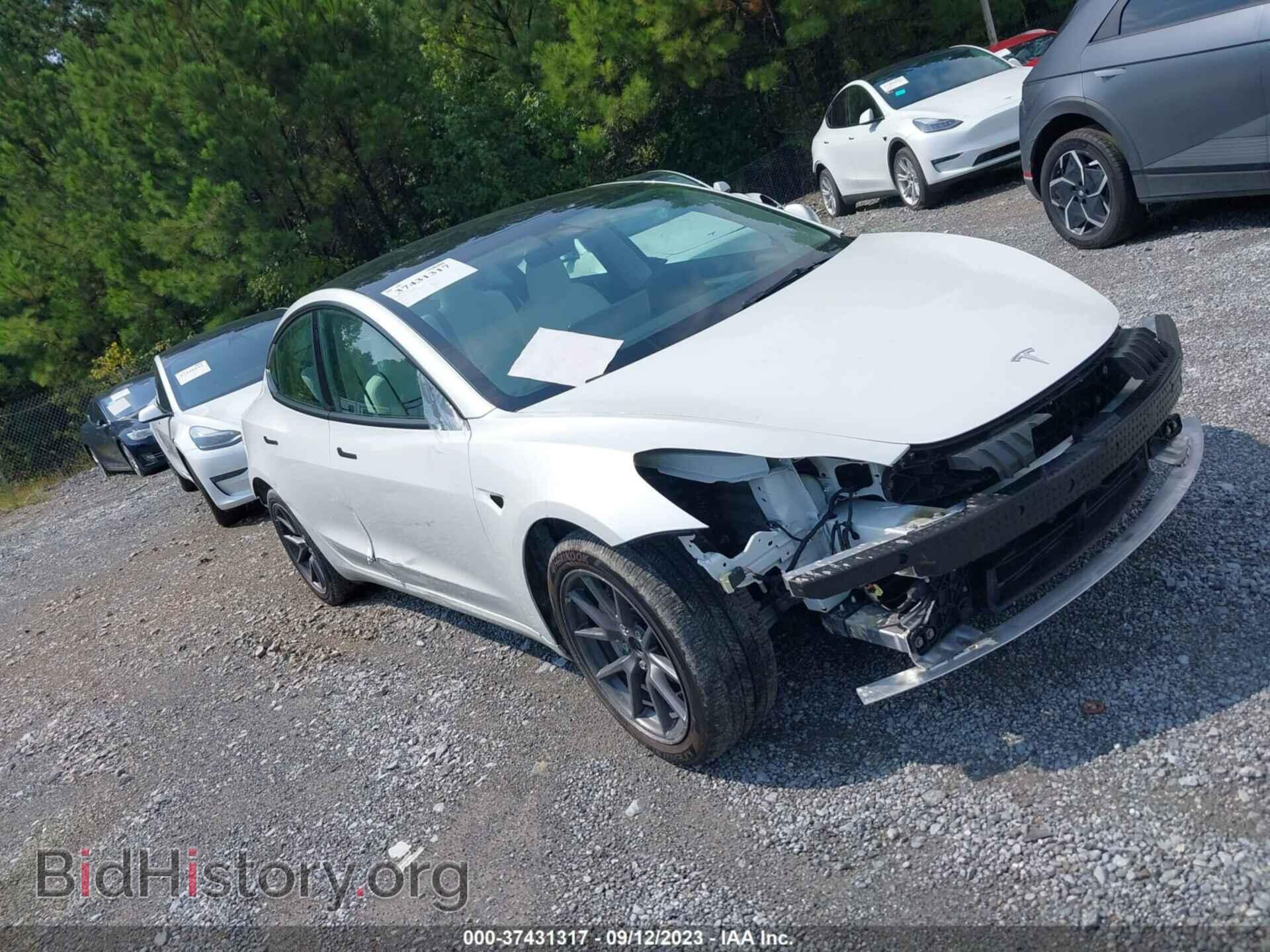 Photo 5YJ3E1EA5PF512449 - TESLA MODEL 3 2023