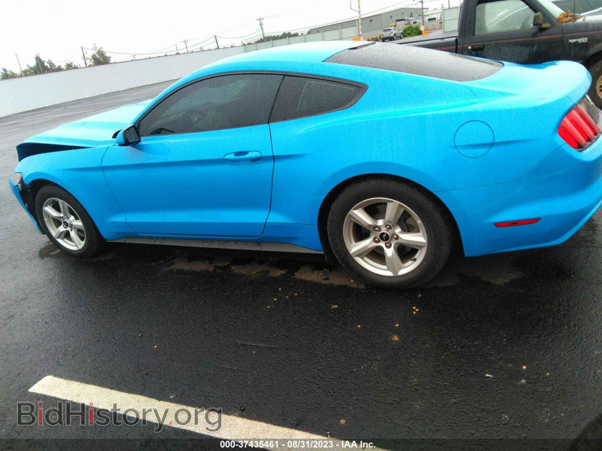 2017 FORD MUSTANG - VIN: 1FA6P8AM4H5227282 - Фото 14