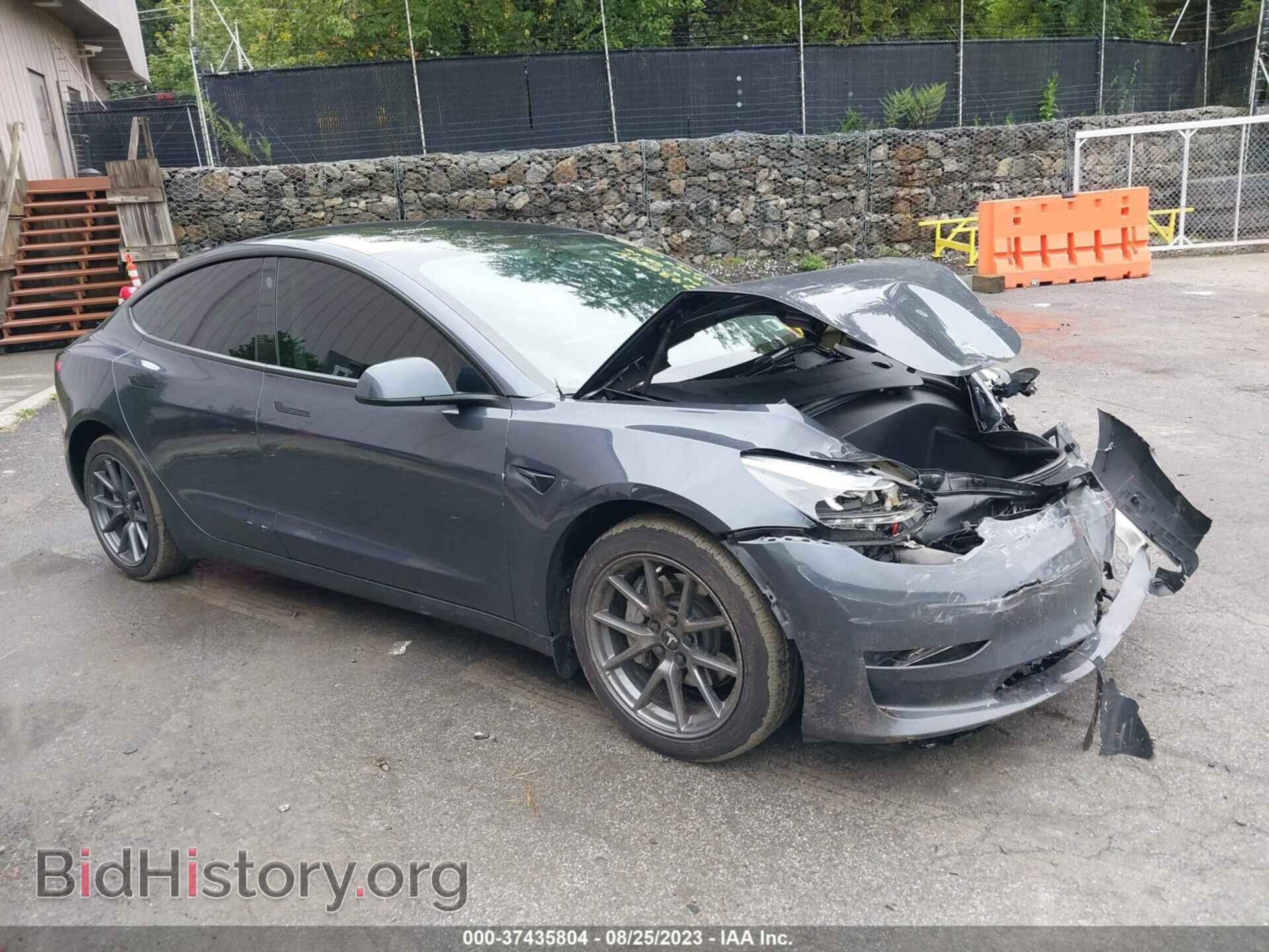 Photo 5YJ3E1EA7PF396557 - TESLA MODEL 3 2023