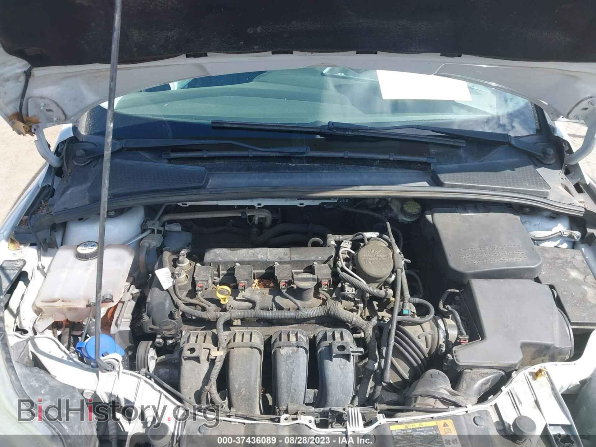 2014 FORD FOCUS - VIN: 1FADP3F29EL207716 - Photo 10