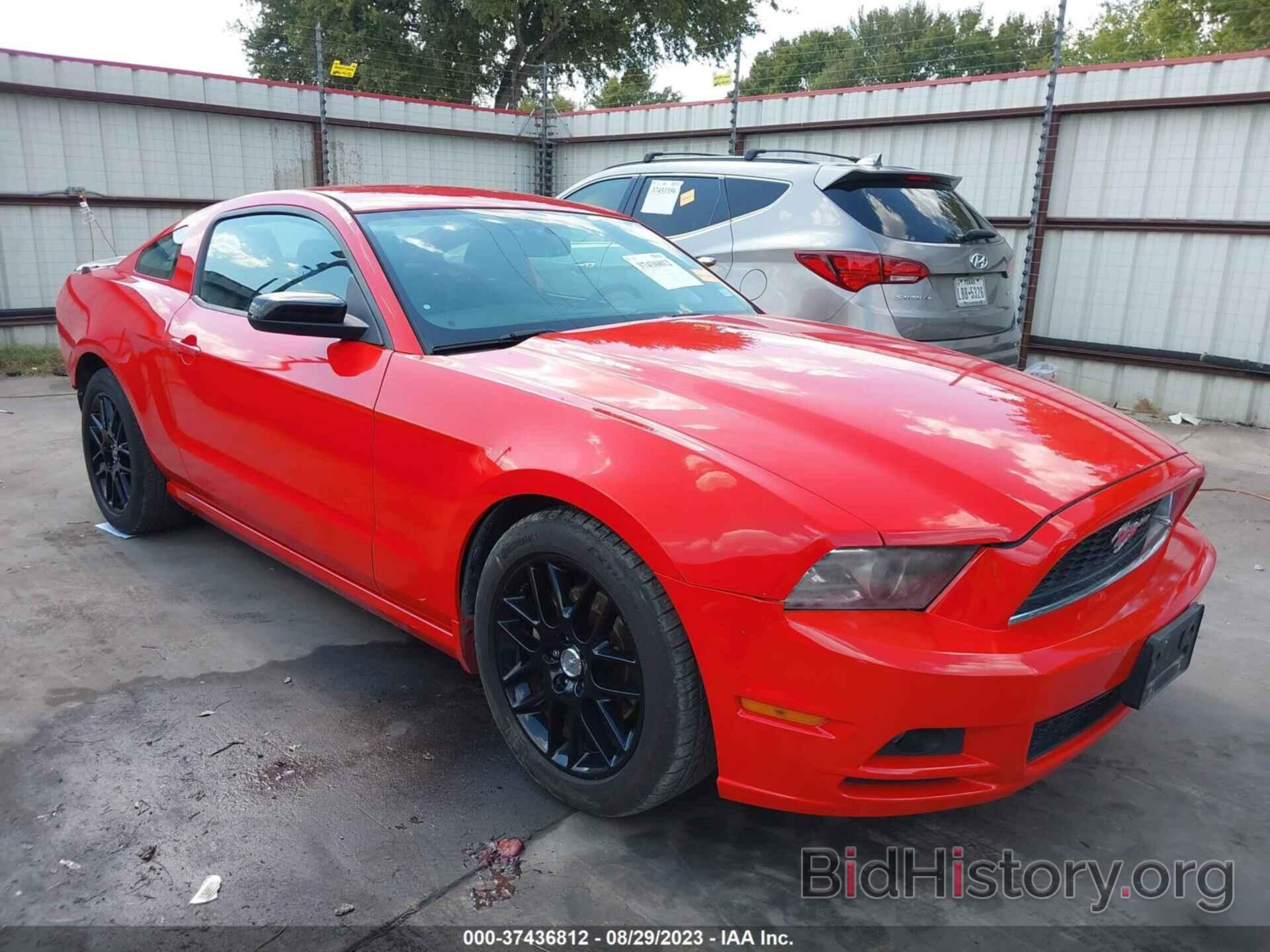 Photo 1ZVBP8AM8E5332781 - FORD MUSTANG 2014
