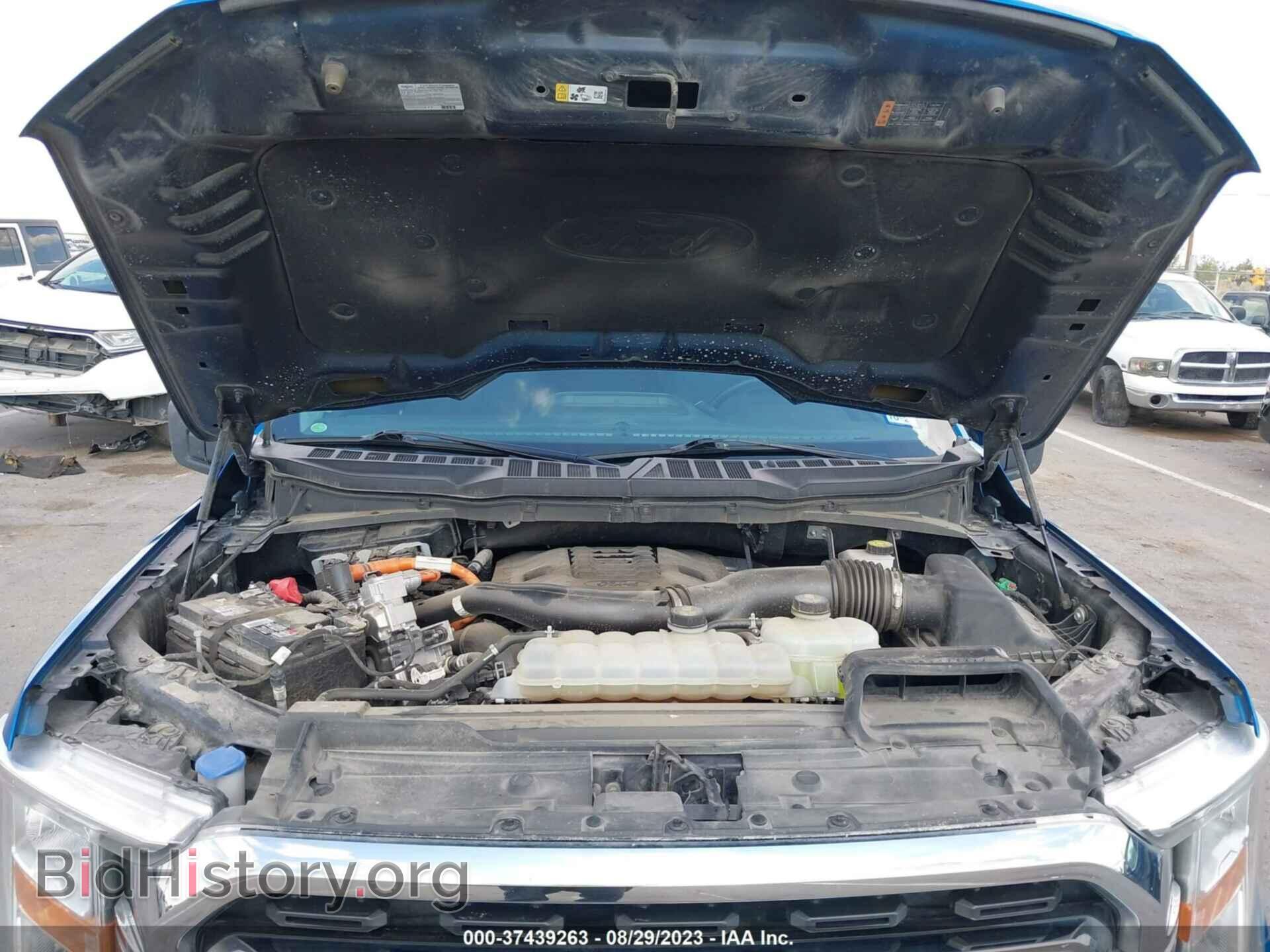 2021 FORD F-150 - VIN: 1FTFW1CD5MFA49811 - Фото 10