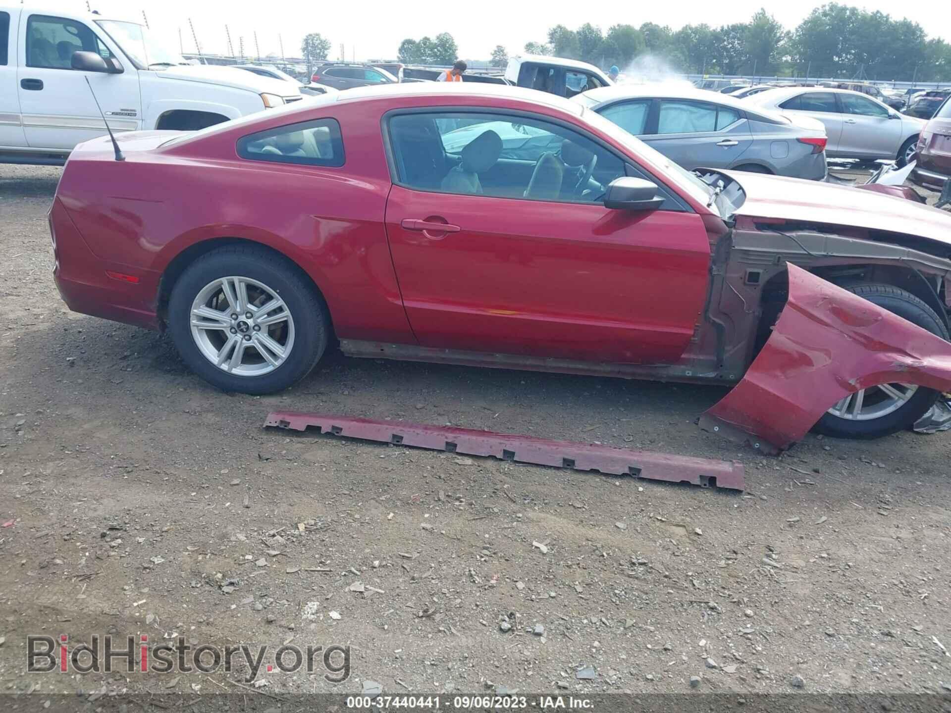 2014 FORD MUSTANG - VIN: 1ZVBP8AM6E5265534 - Фото 14