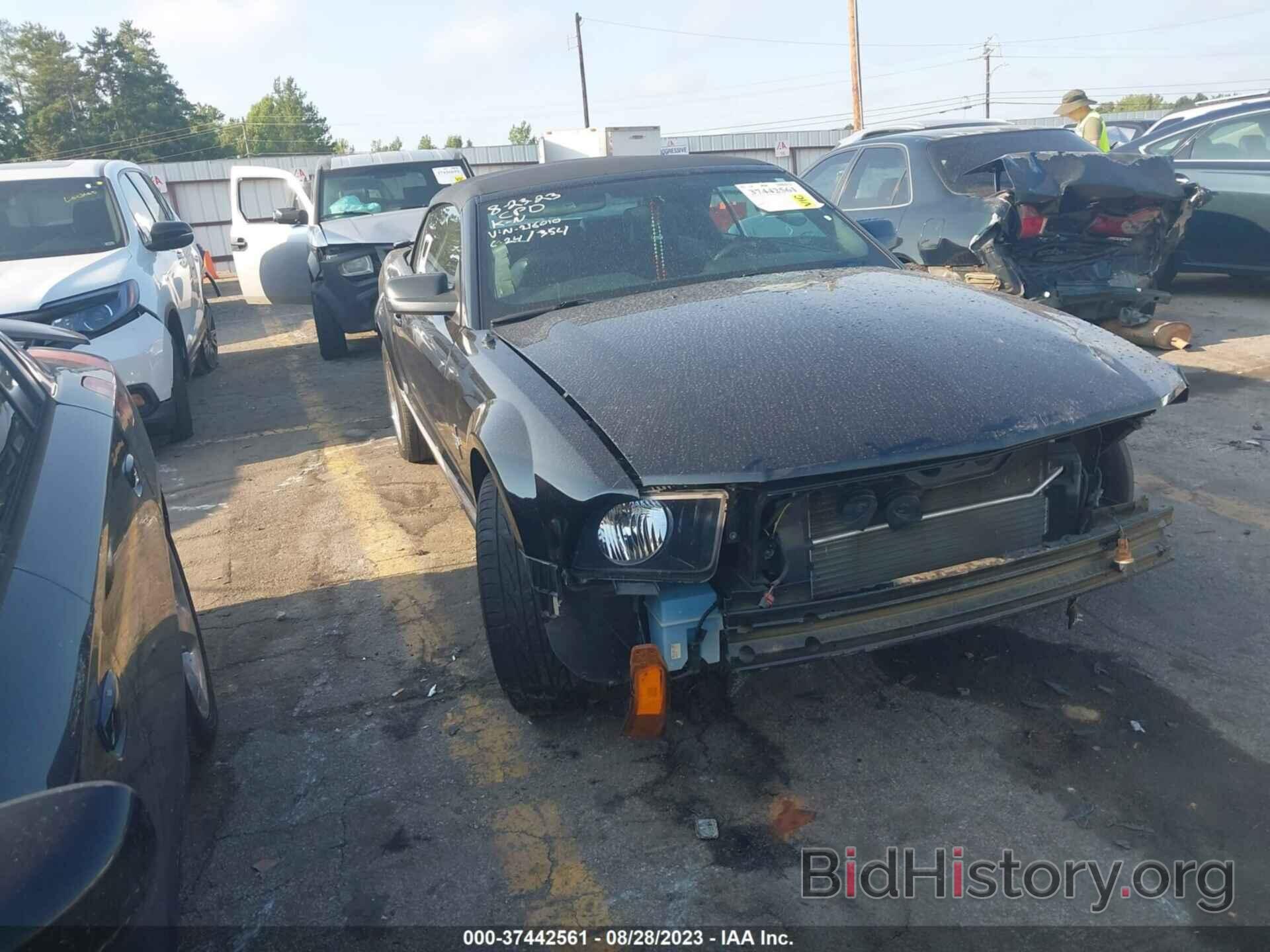 Photo 1ZVHT84N675216010 - FORD MUSTANG 2007
