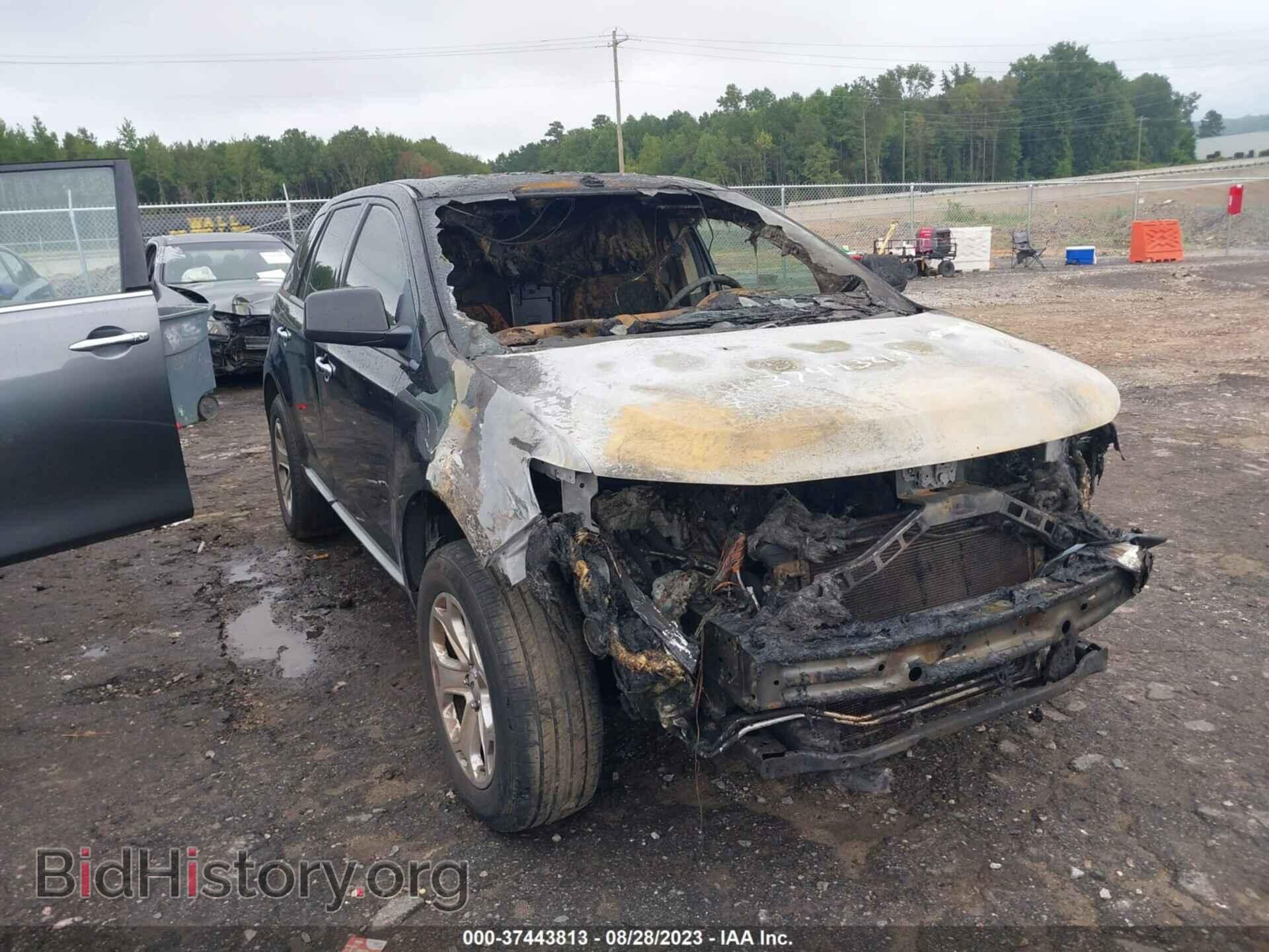 Фотография 2FMDK4JC3BBA39464 - FORD EDGE 2011