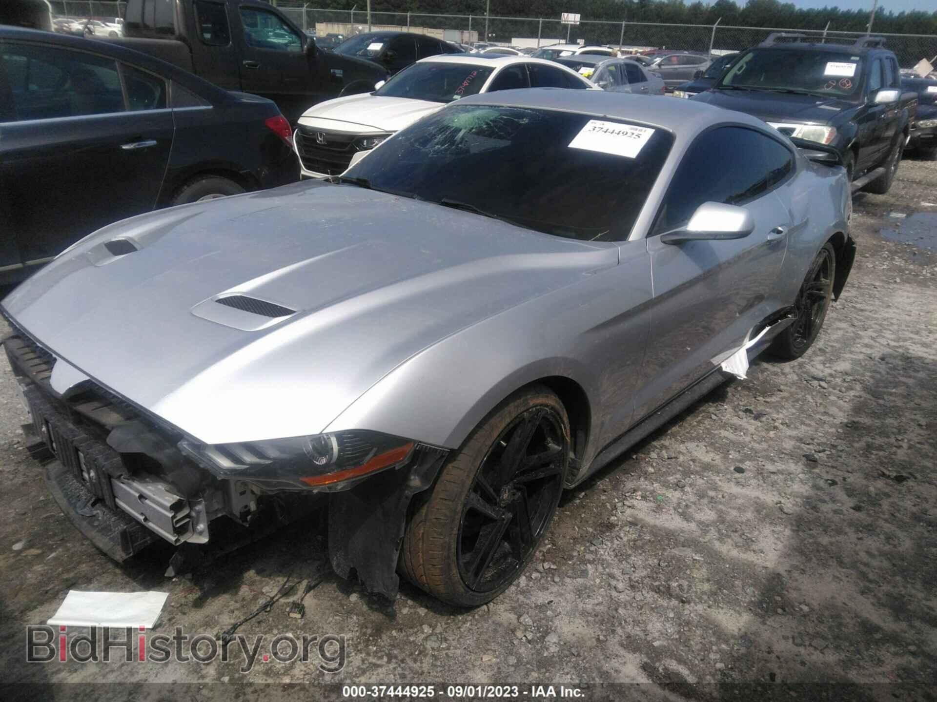 2019 FORD MUSTANG - VIN: 1FA6P8TH5K5200535 - Фото 2