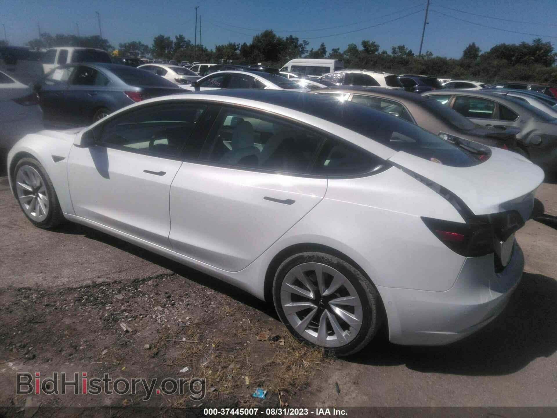 2021 TESLA MODEL 3 - VIN: 5YJ3E1EA1MF874581 - Фото 3