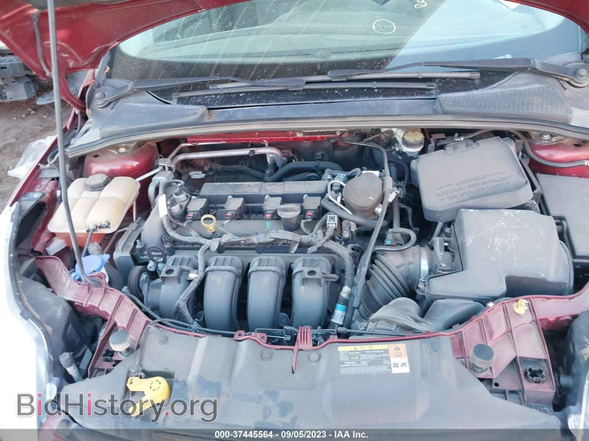2014 FORD FOCUS - VIN: 1FADP3F25EL231446 - Photo 10