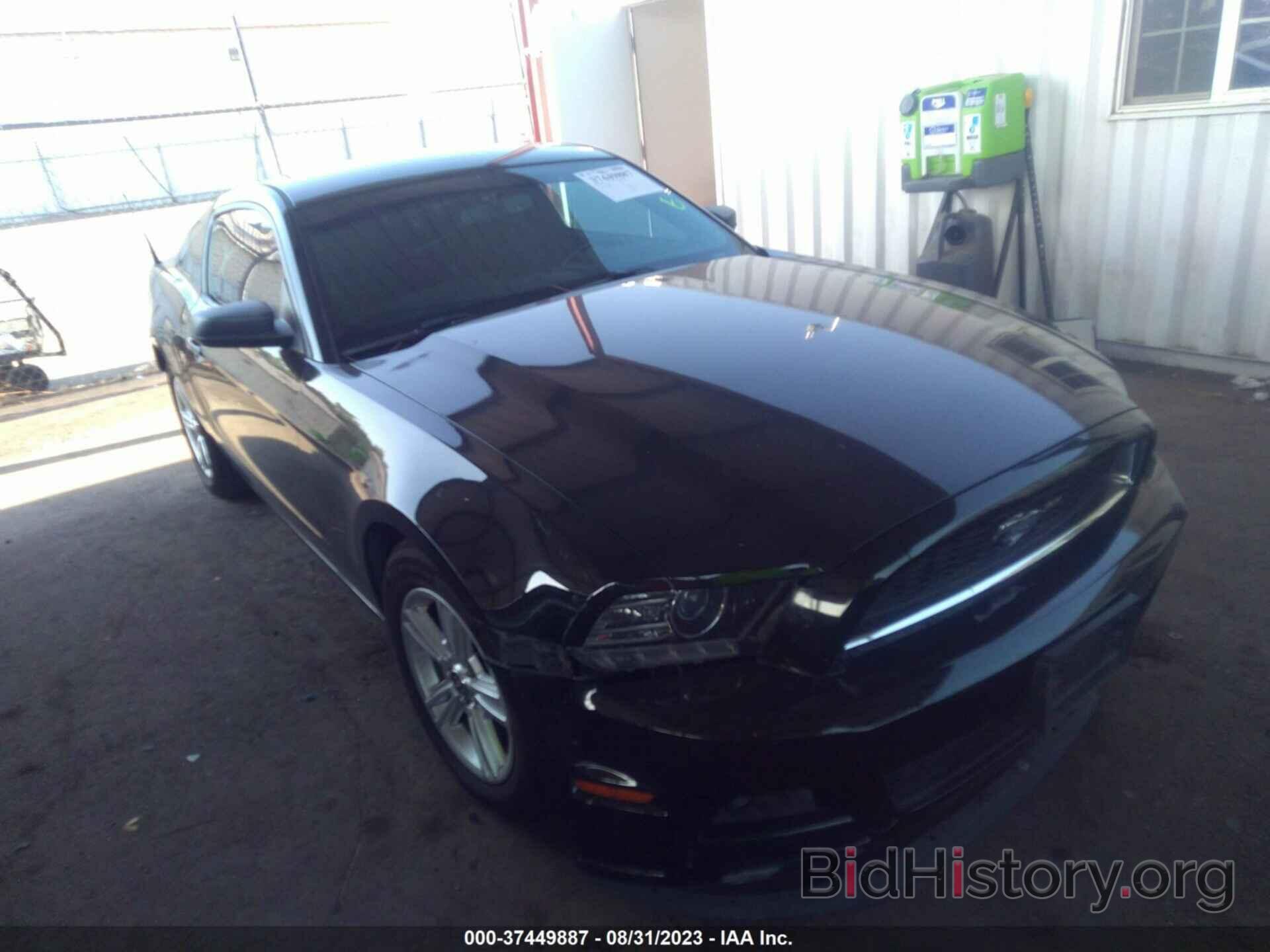 Photo 1ZVBP8AM0E5231668 - FORD MUSTANG 2014