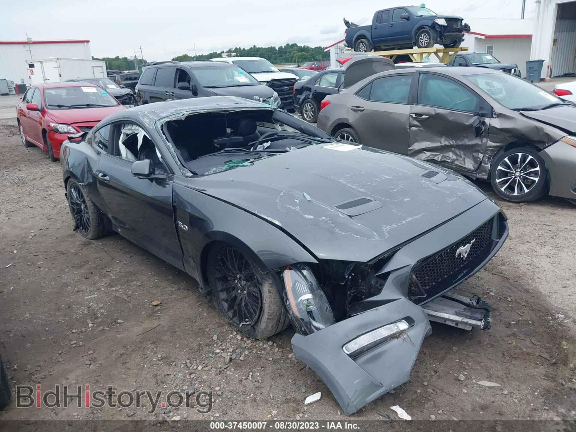 Photo 1FA6P8CF5K5166224 - FORD MUSTANG 2019