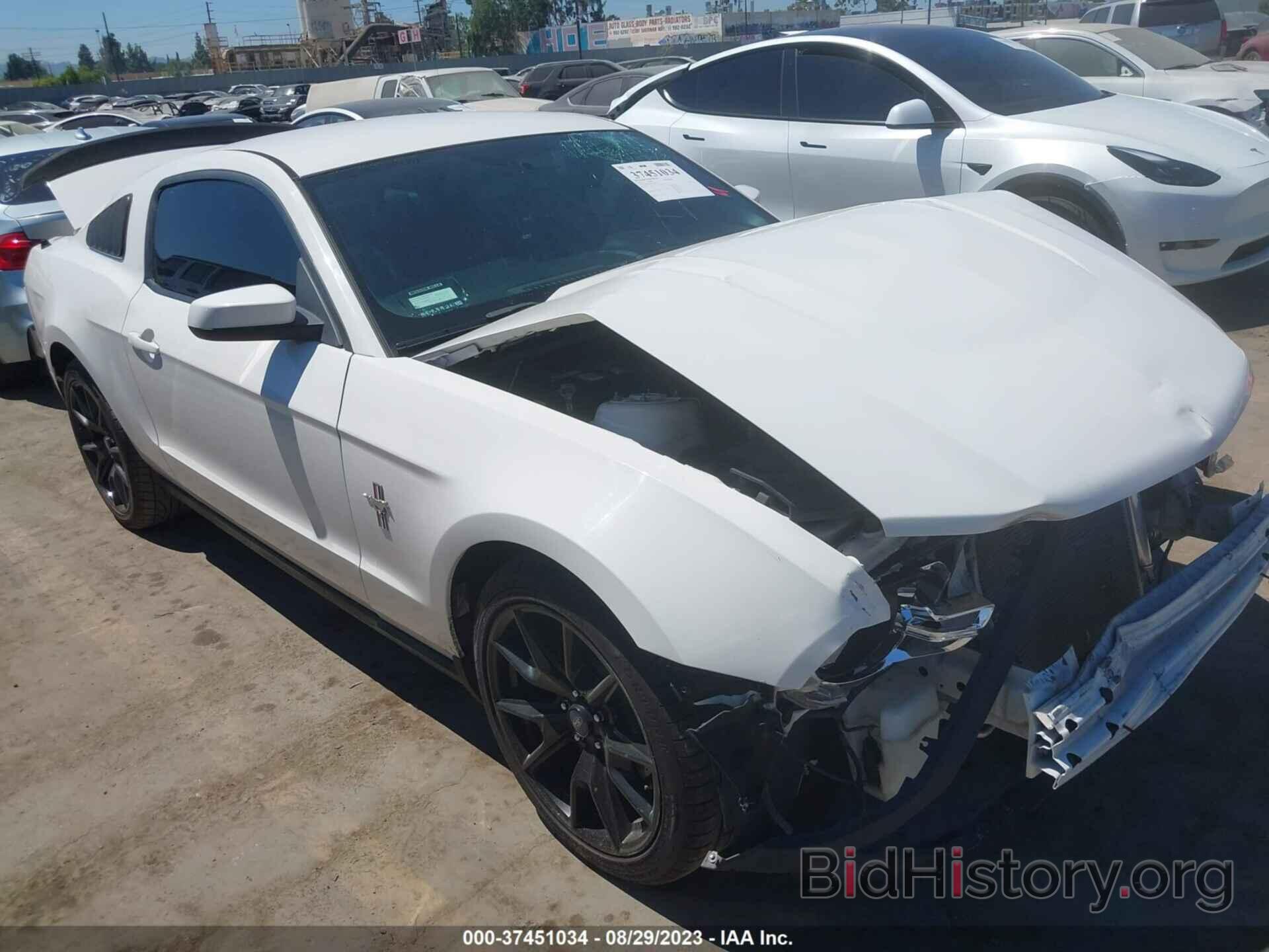 Photo 1ZVBP8AM5C5263643 - FORD MUSTANG 2012