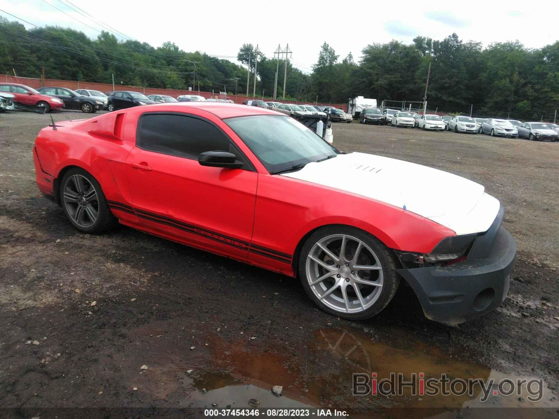 Photo 1ZVBP8AM1D5228132 - FORD MUSTANG 2013