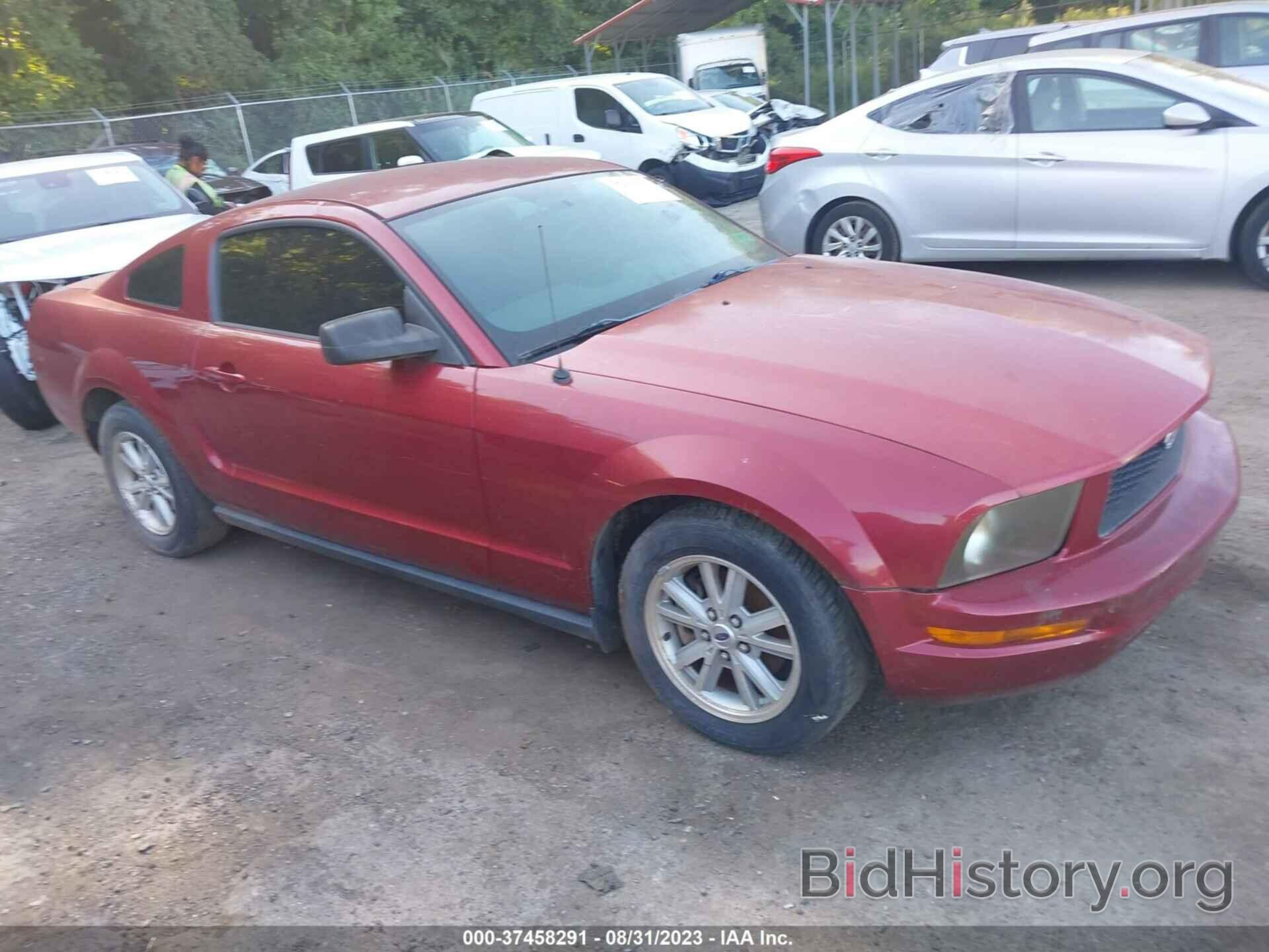 Photo 1ZVFT80N465243959 - FORD MUSTANG 2006