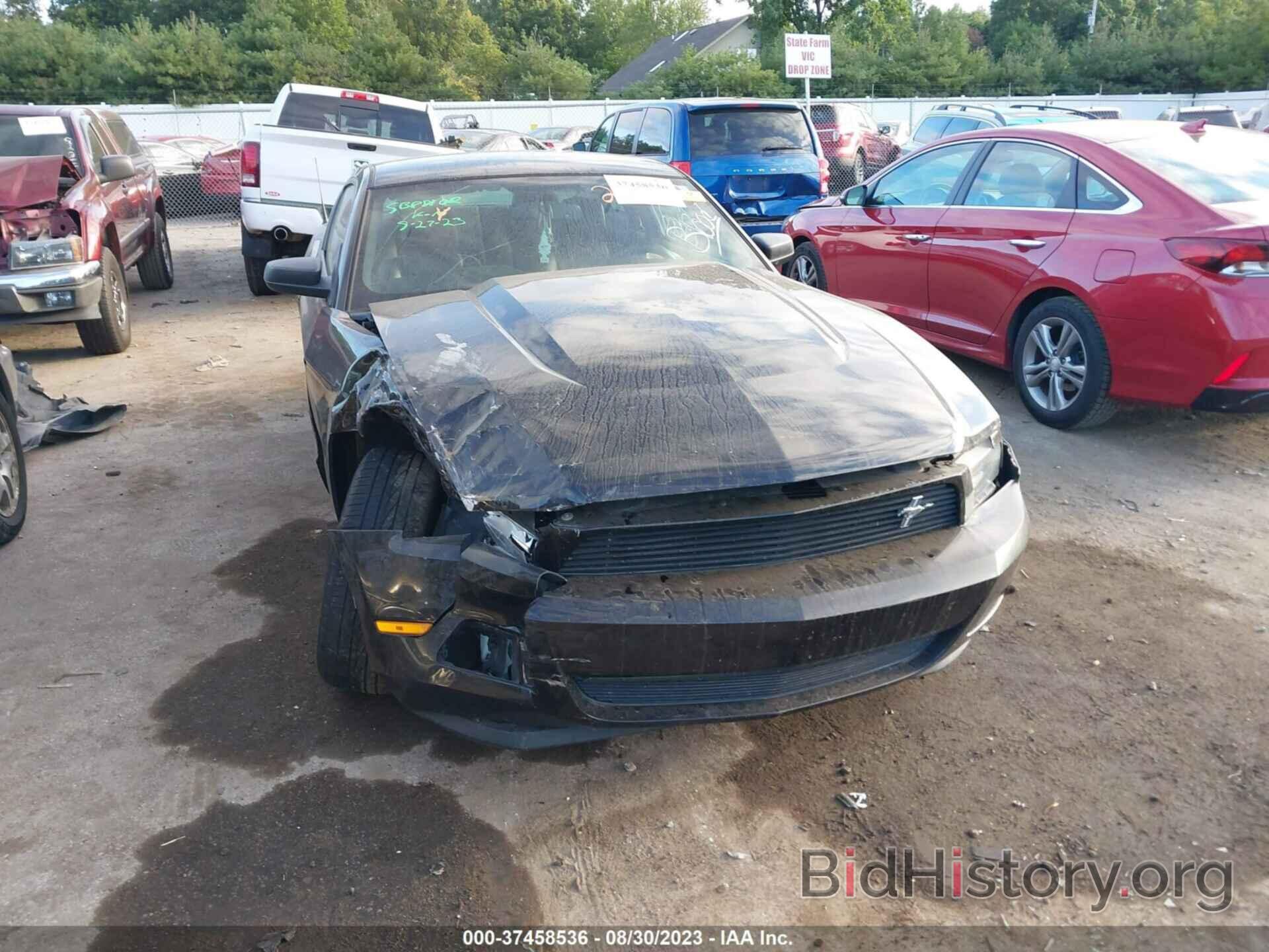 Photo 1ZVBP8AM4C5208410 - FORD MUSTANG 2012