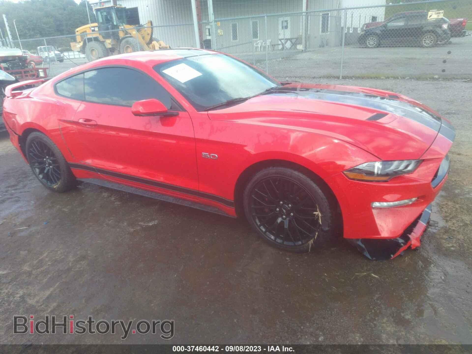 Photo 1FA6P8CF2K5141507 - FORD MUSTANG 2019