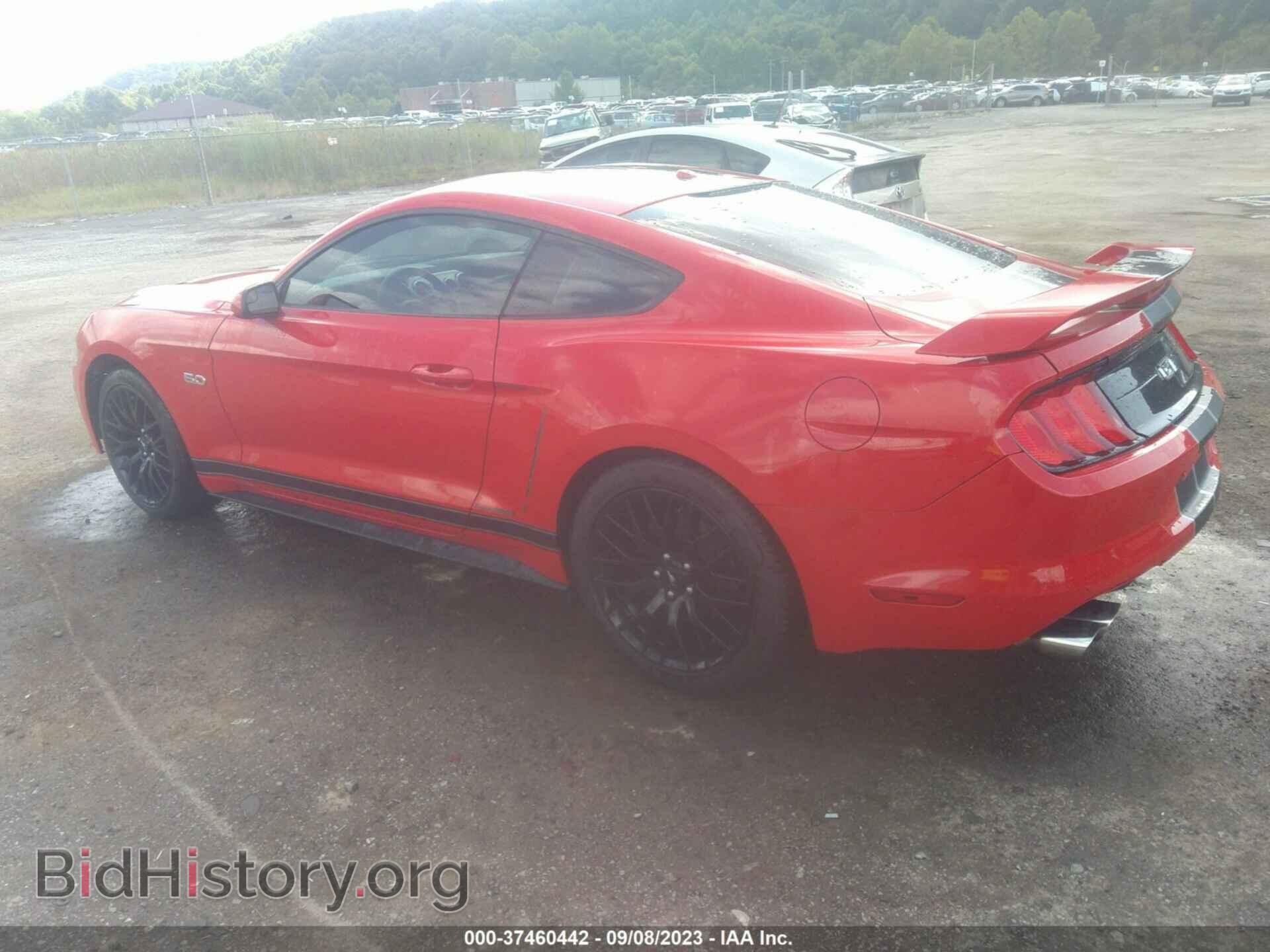 2019 FORD MUSTANG - VIN: 1FA6P8CF2K5141507 - Фото 3