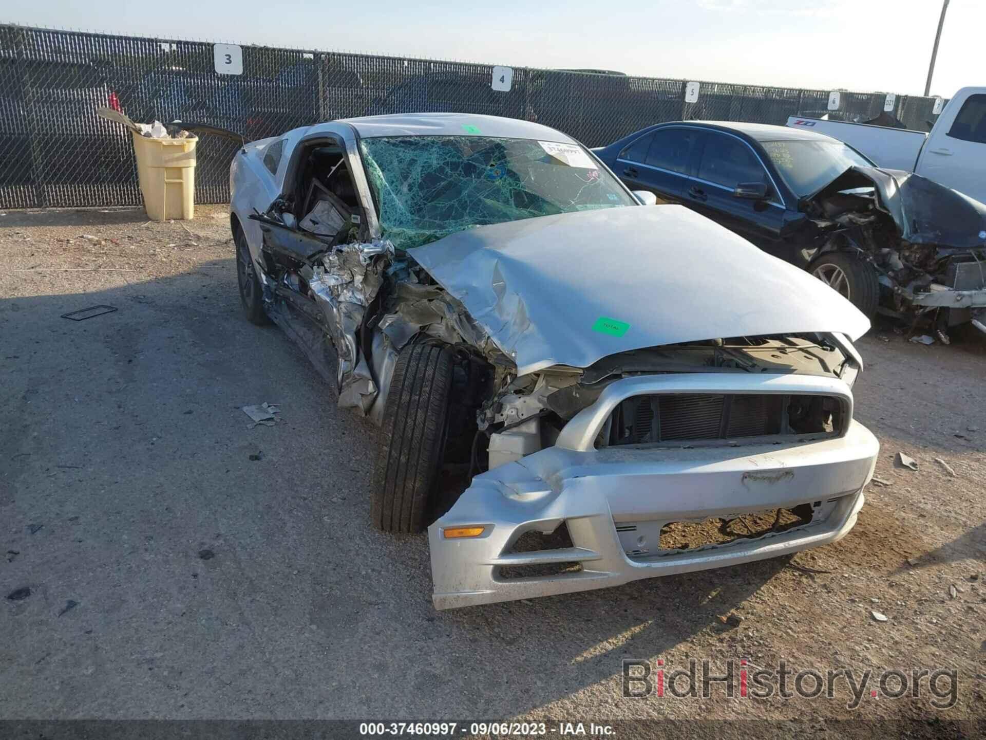 Photo 1ZVBP8AM6E5265016 - FORD MUSTANG 2014