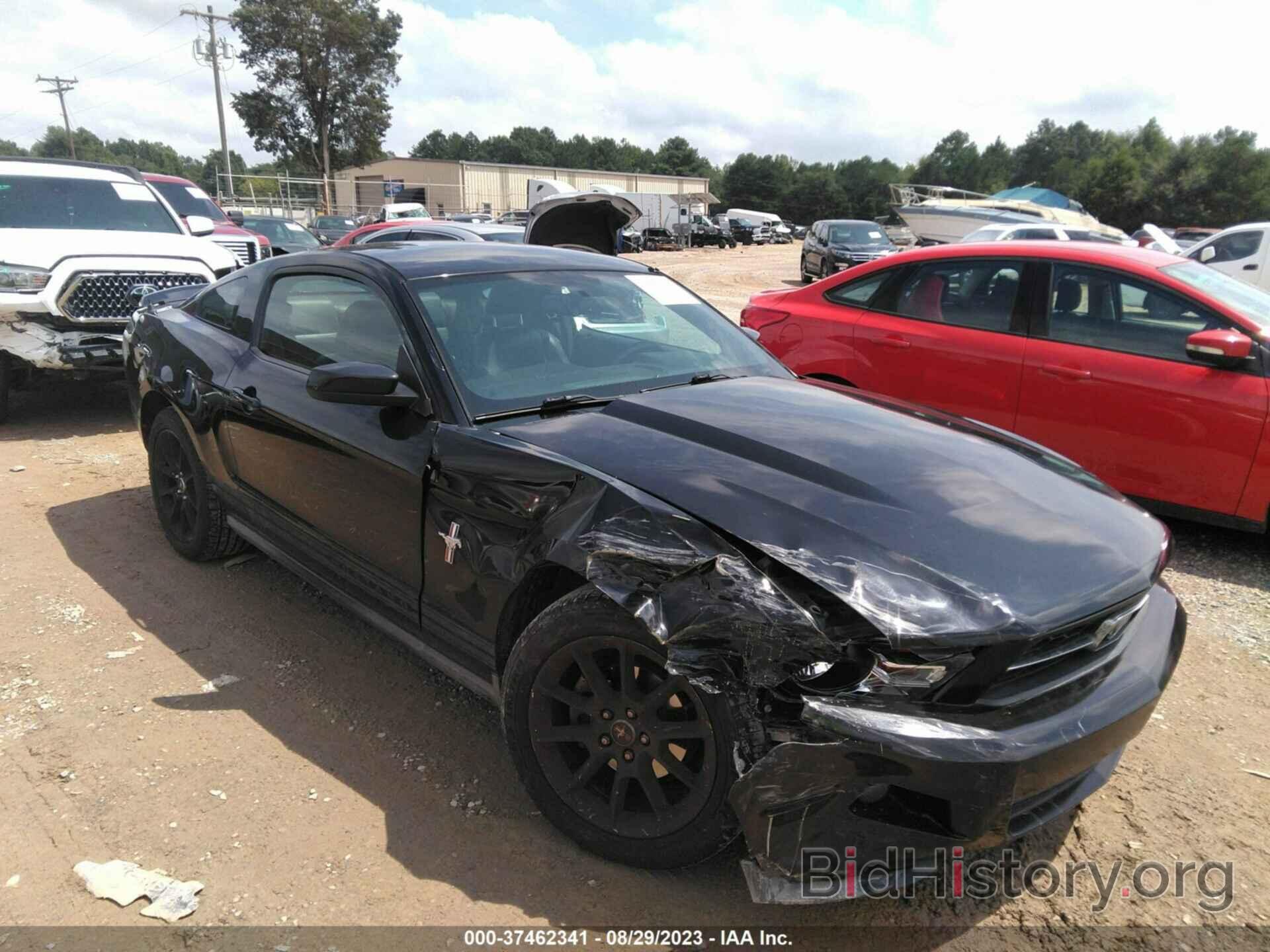 Photo 1ZVBP8AN5A5163497 - FORD MUSTANG 2010