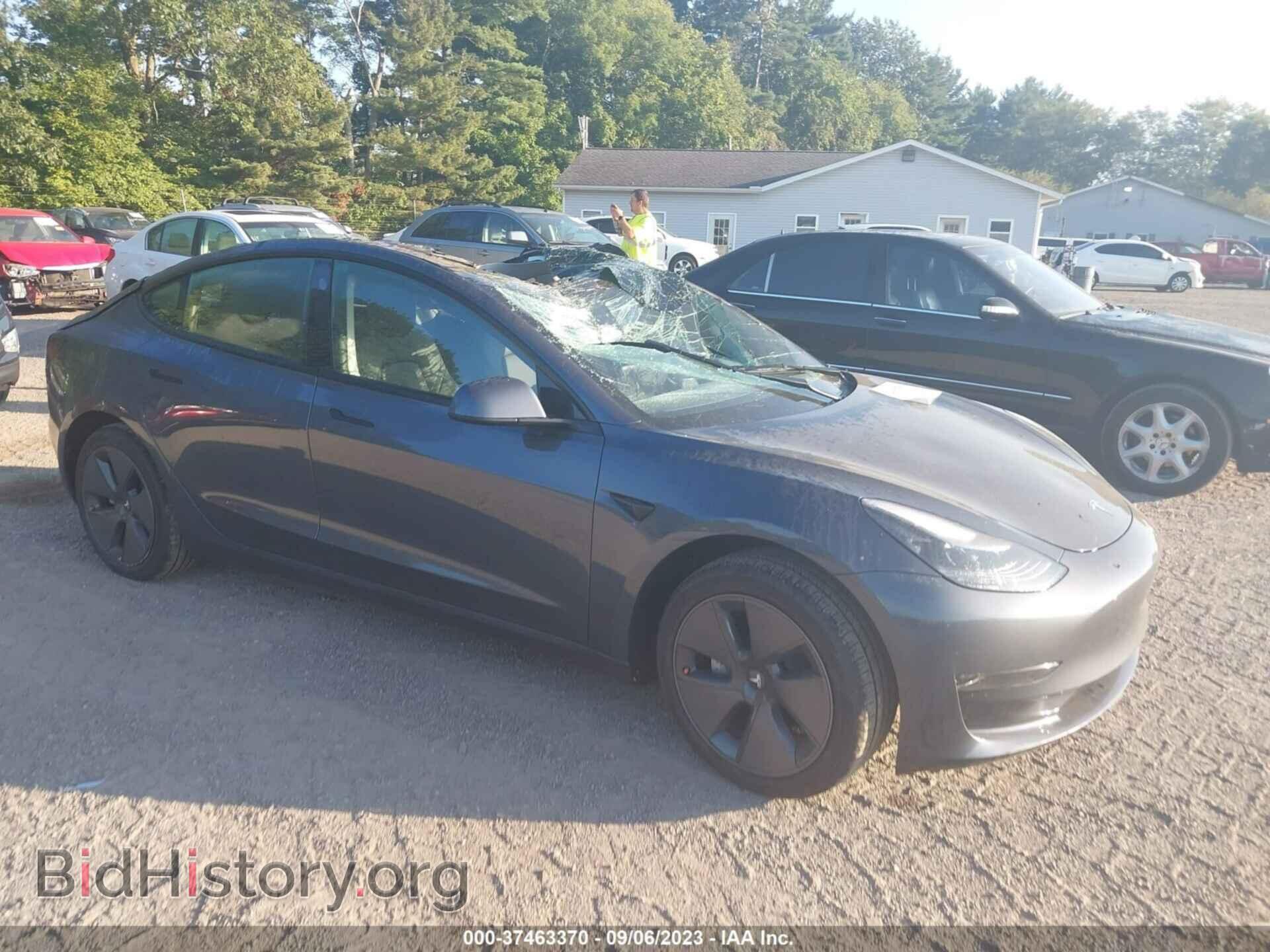 Photo 5YJ3E1EA1PF613892 - TESLA MODEL 3 2023